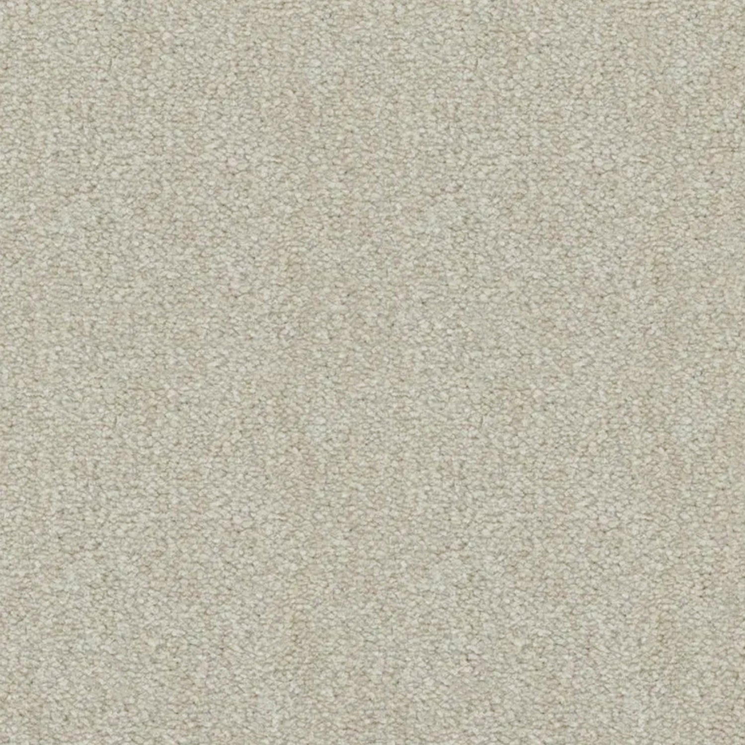 Artisan Carpets Lusso 100% Nylon Velvet Carpet