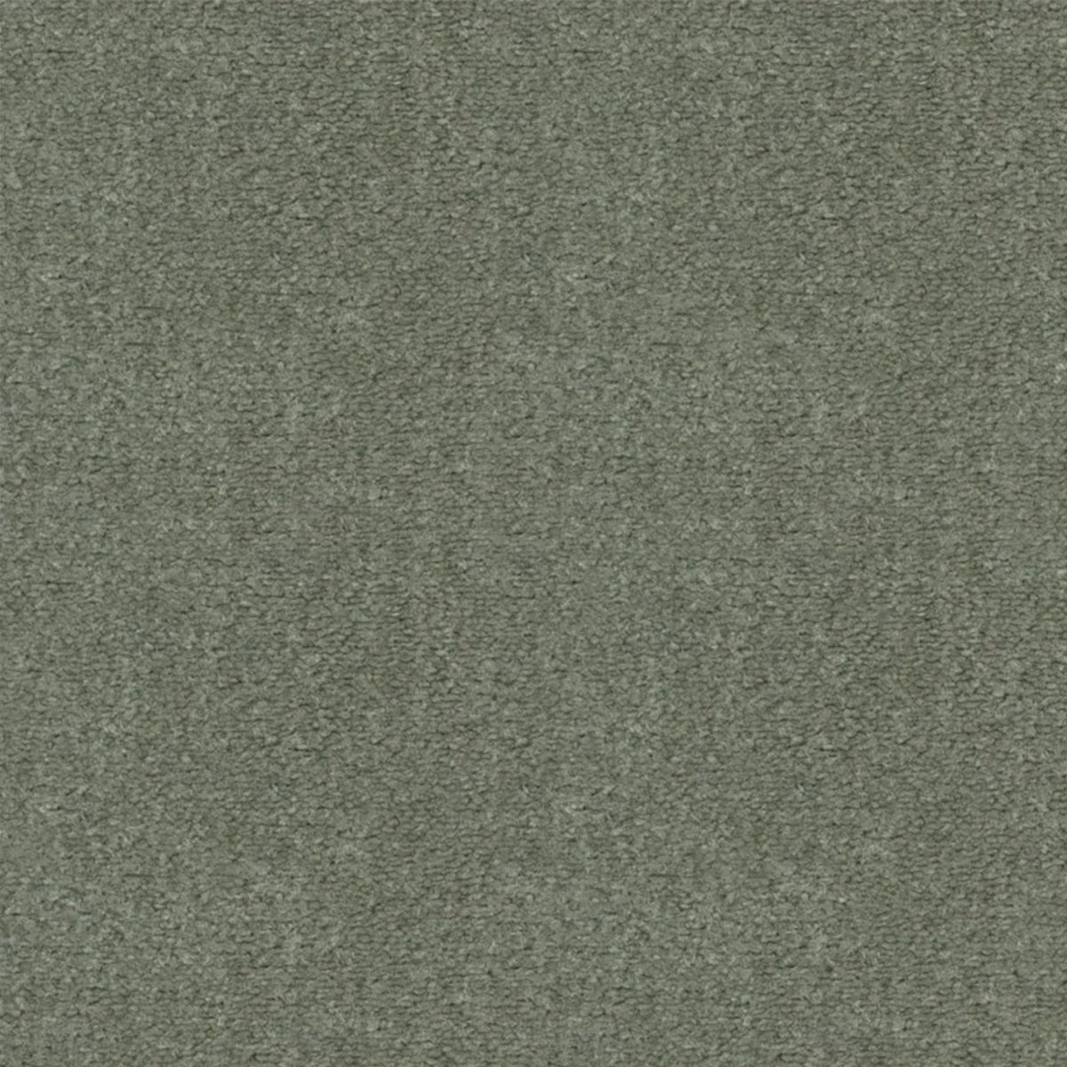 Artisan Carpets Seta 100% Nylon Velvet Carpet