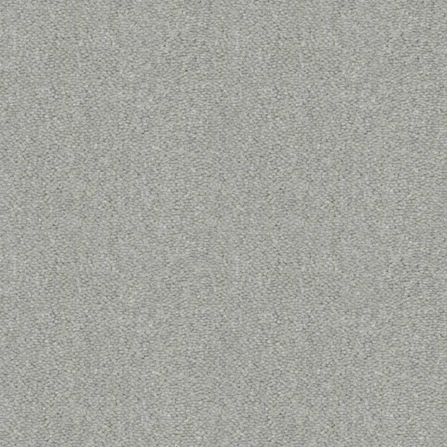 Artisan Carpets Seta 100% Nylon Velvet Carpet