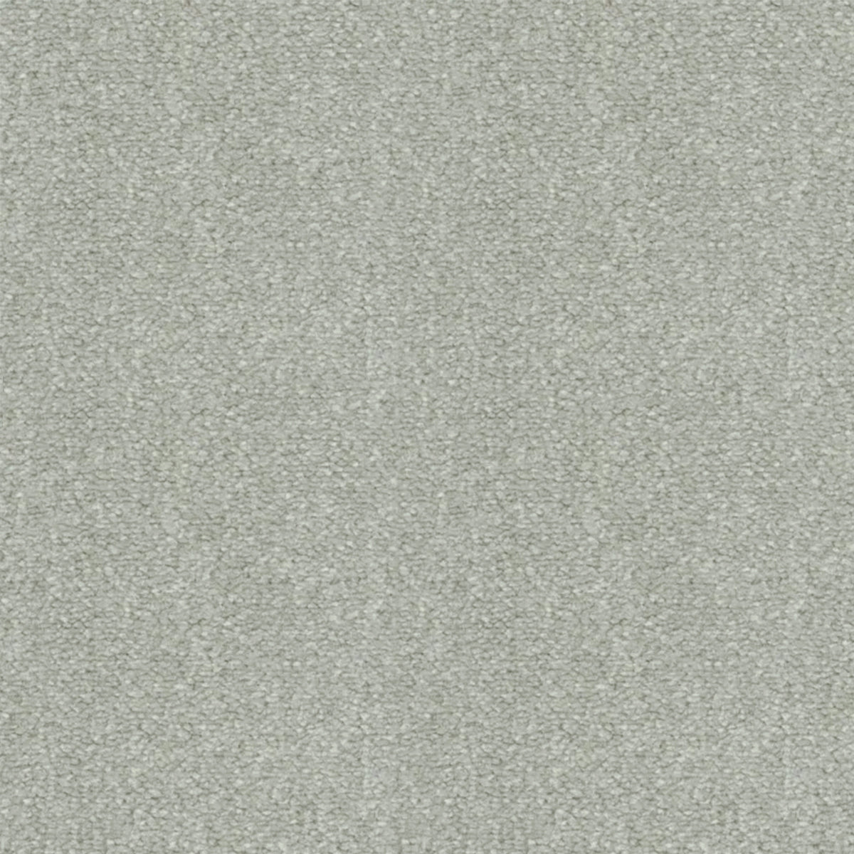 Artisan Carpets Seta 100% Nylon Velvet Carpet