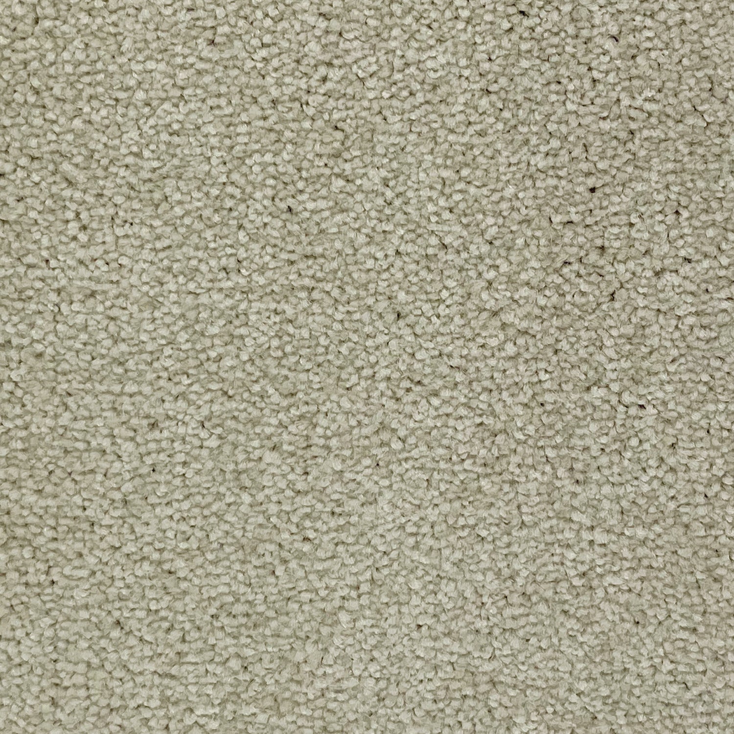 Associated Weavers Brooklyn Twist Carpet