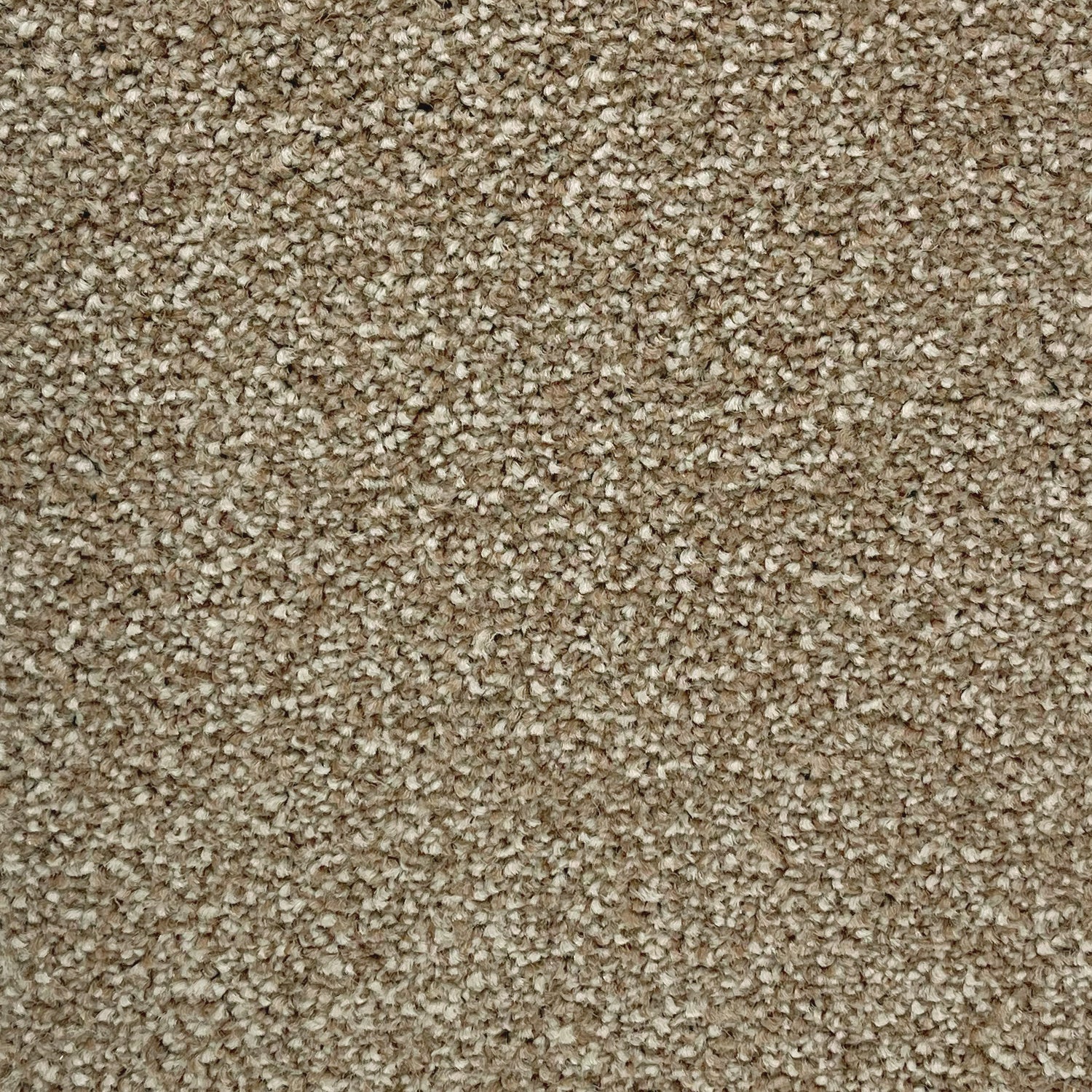 Associated Weavers Coniston Twist Carpet