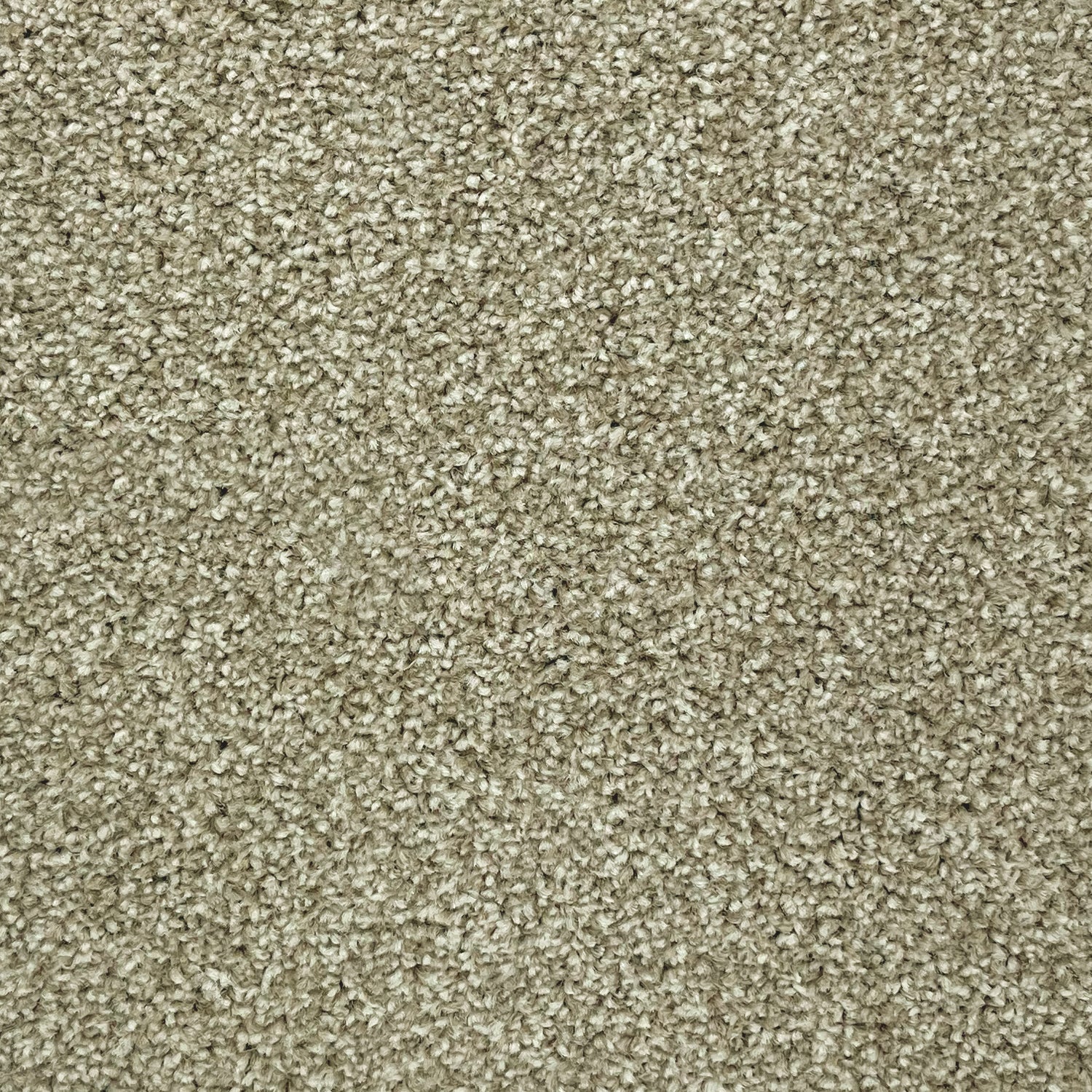 Associated Weavers Coniston Twist Carpet