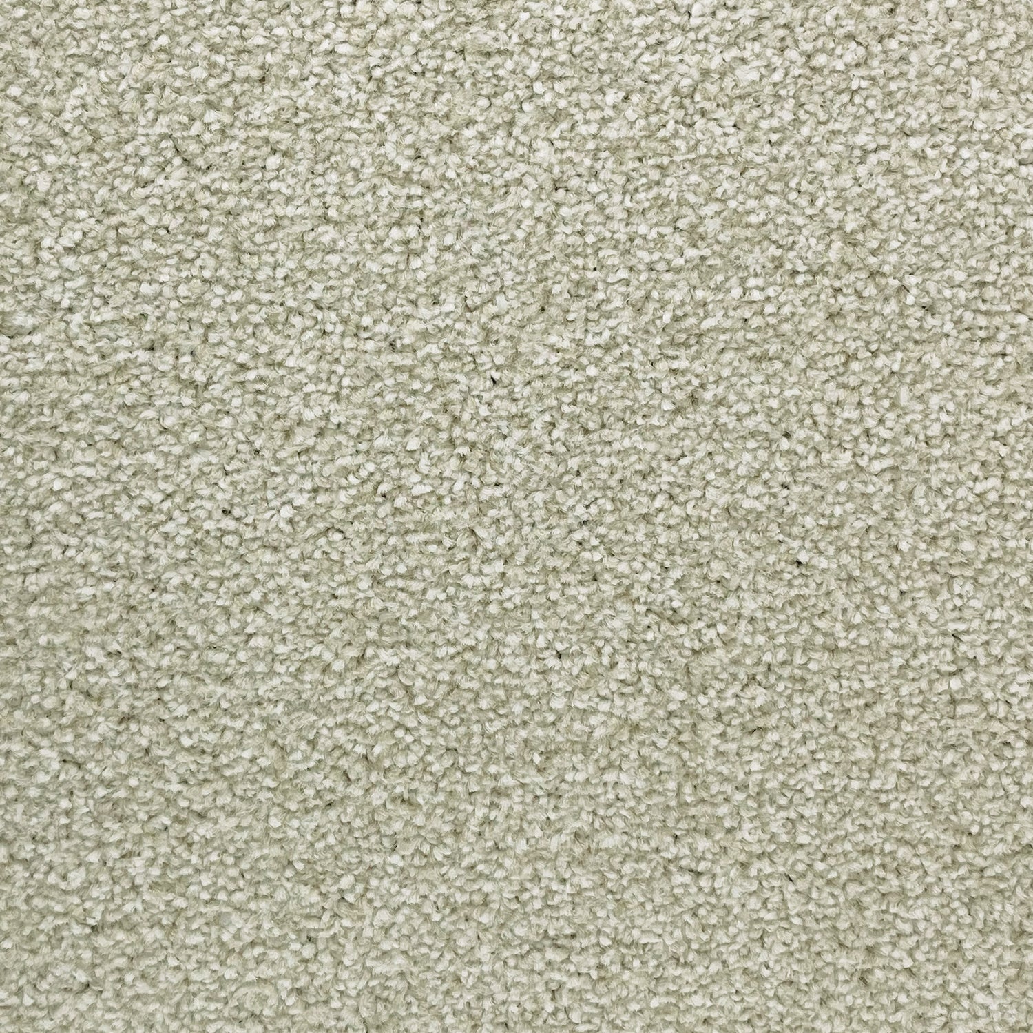 Associated Weavers Coniston Twist Carpet