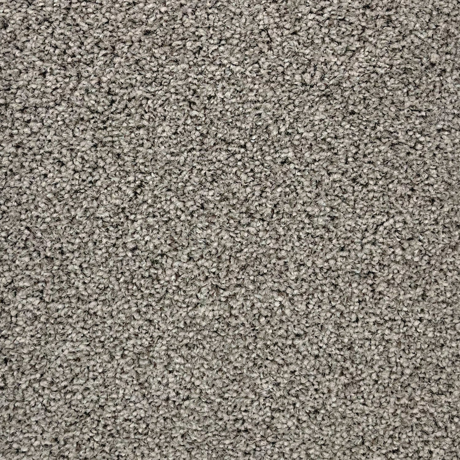 Associated Weavers Coniston Twist Carpet