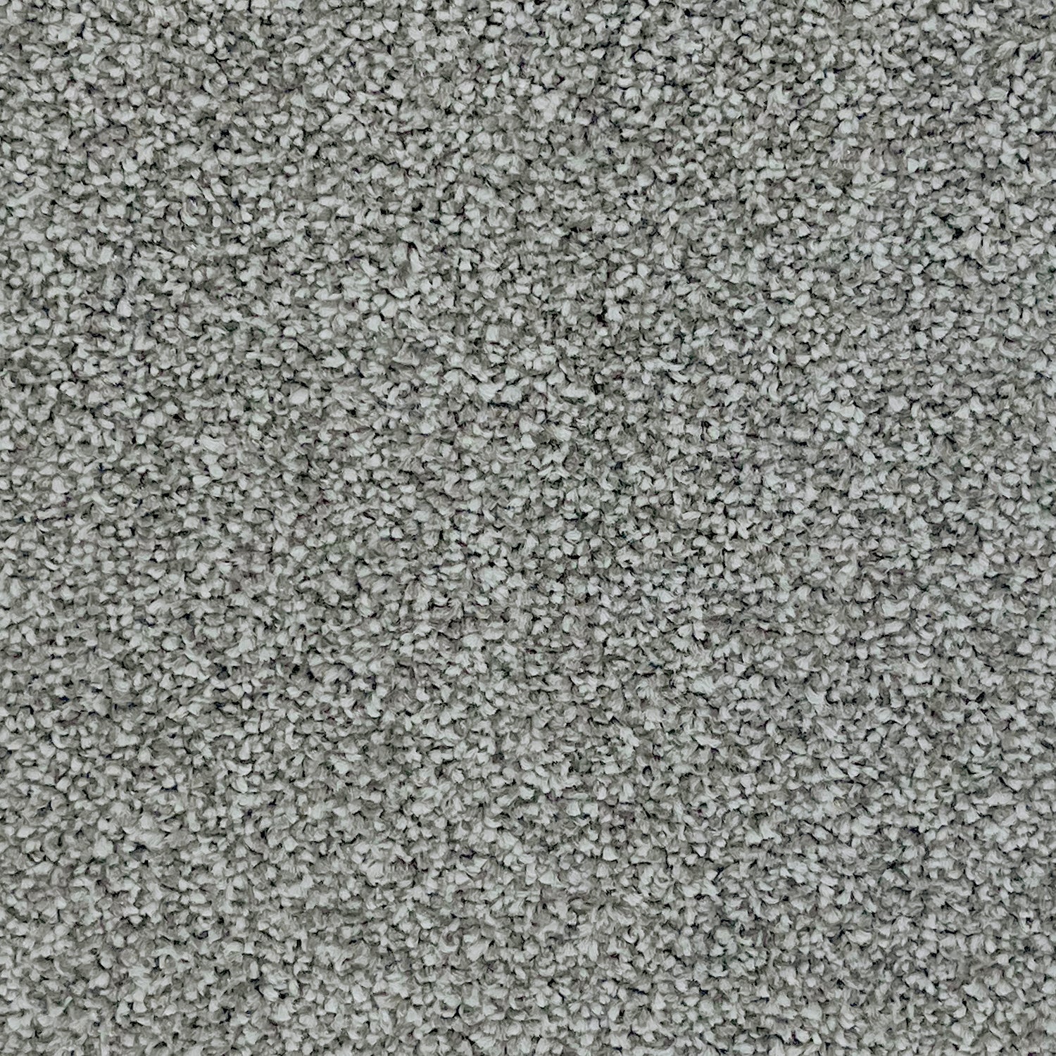 Associated Weavers Hudson Twist Carpet