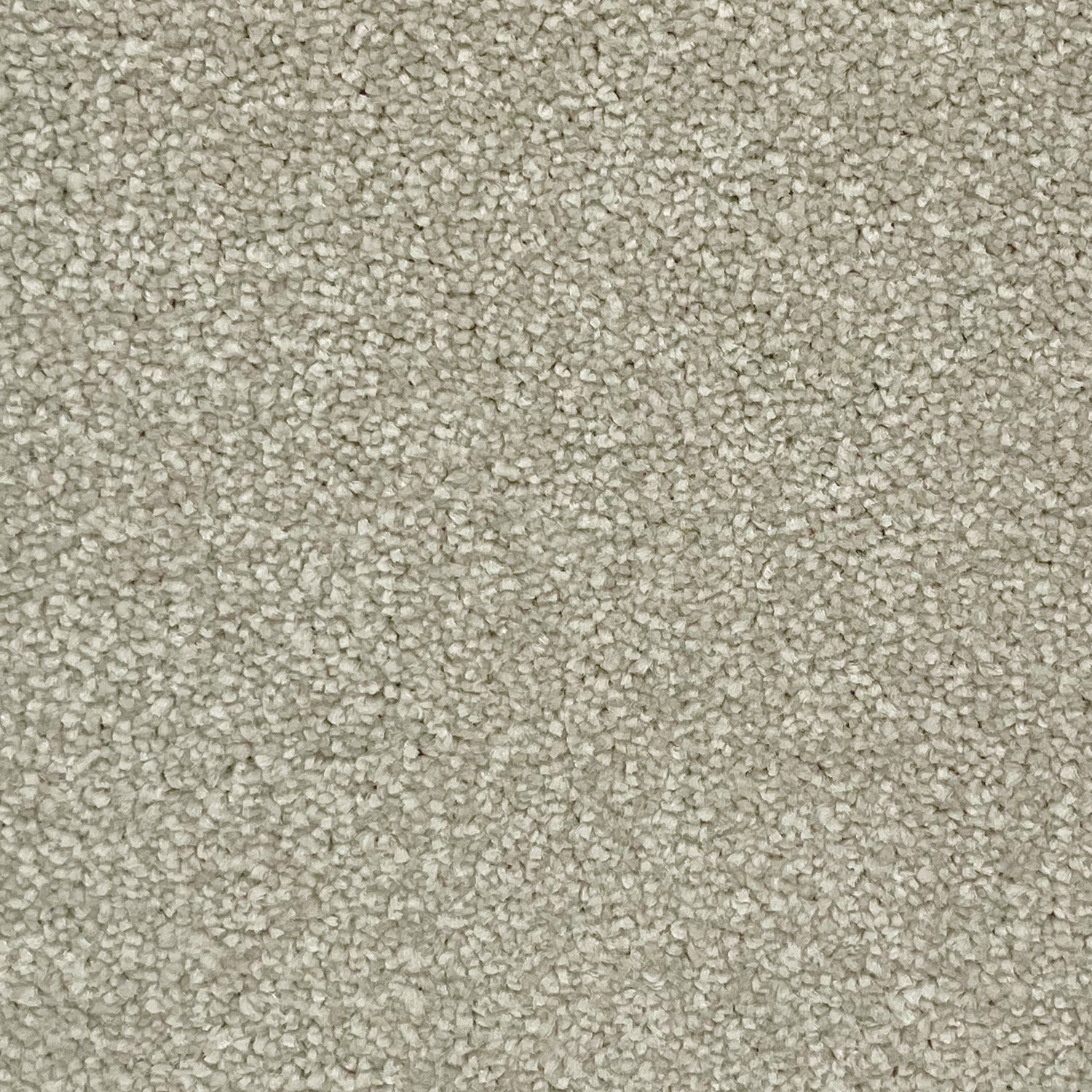 Associated Weavers Hudson Twist Carpet
