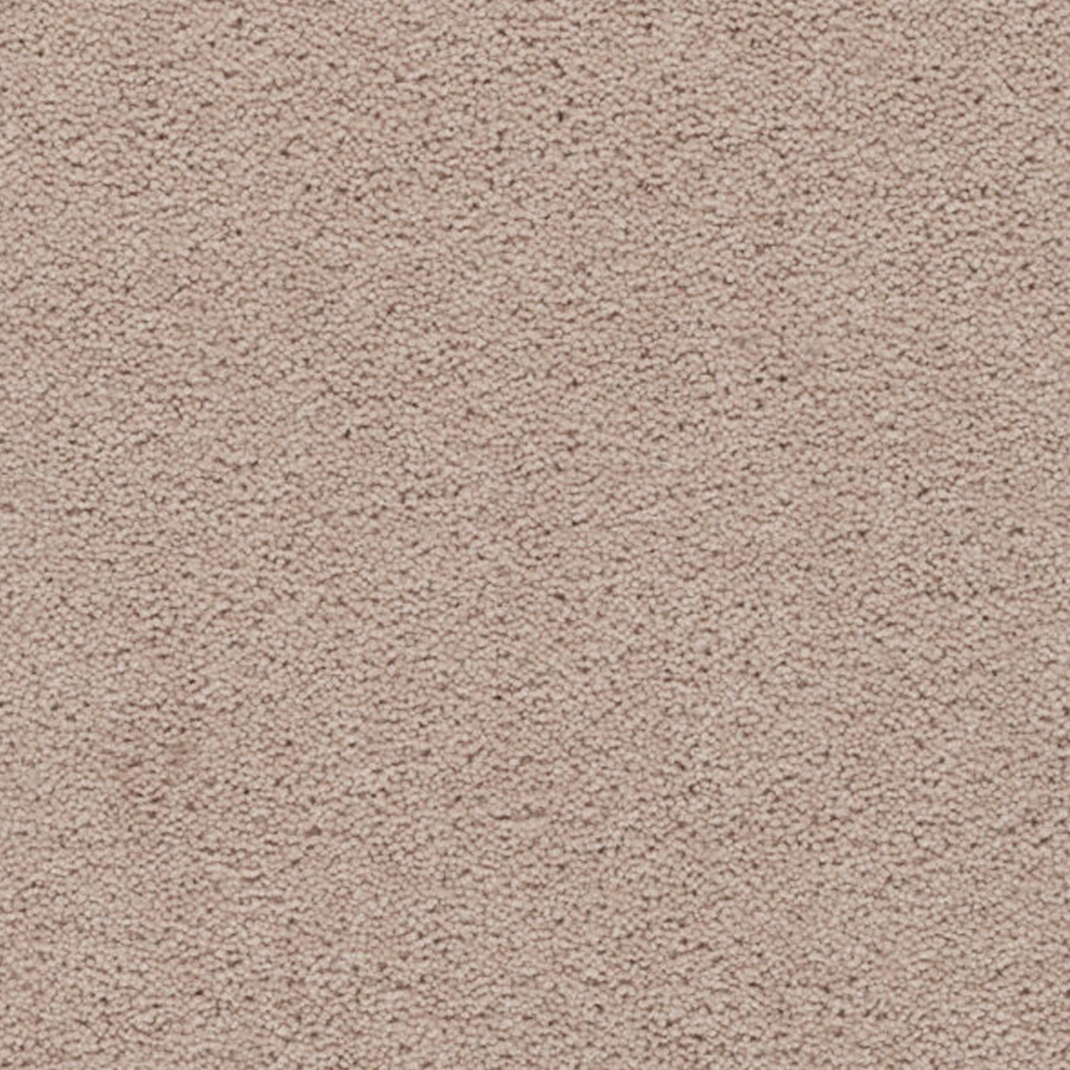 Axminster Carpets Devonia 80% Wool Blend Twist Carpet