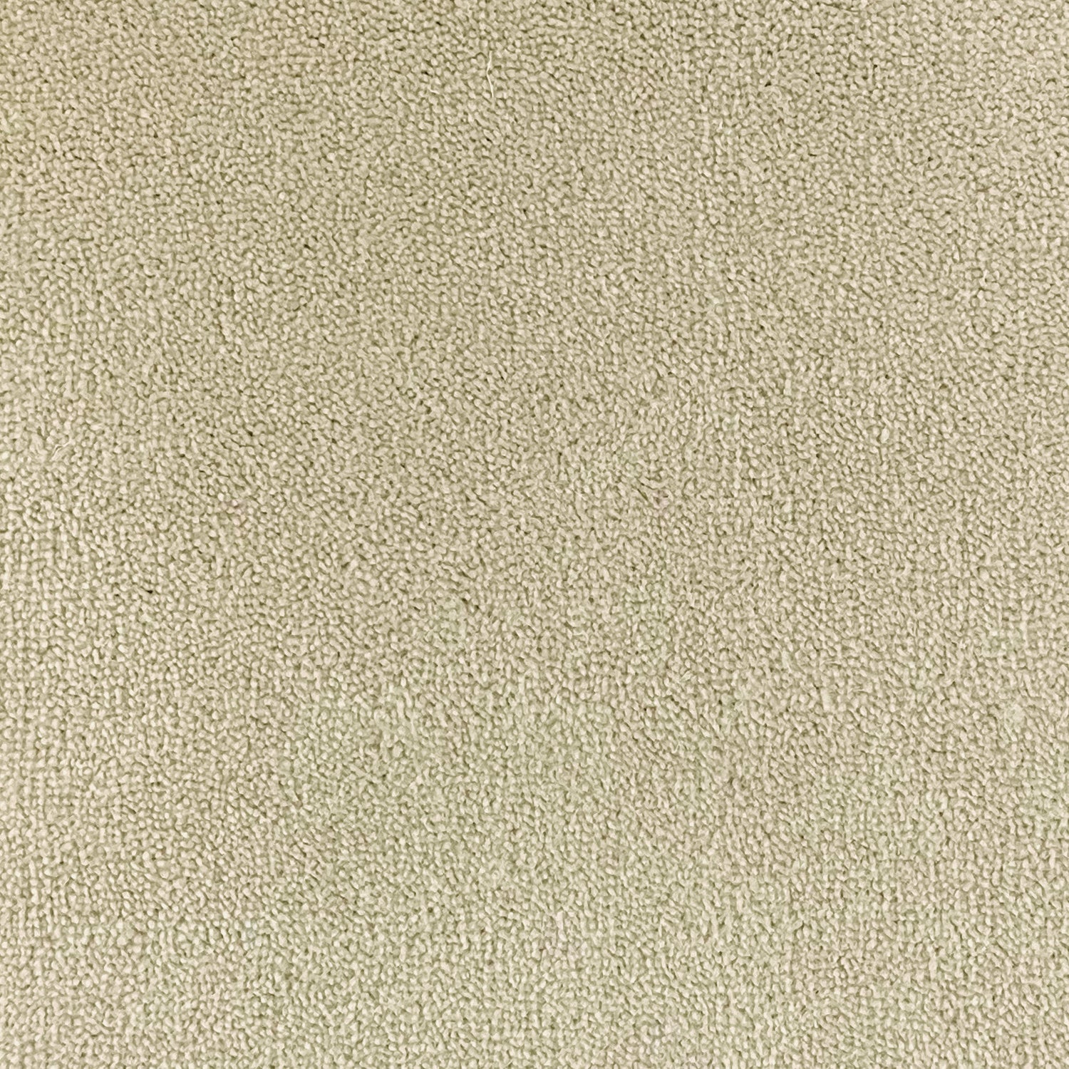 Axminster Carpets Velvet Collection 80% Wool Blend Velvet Carpet