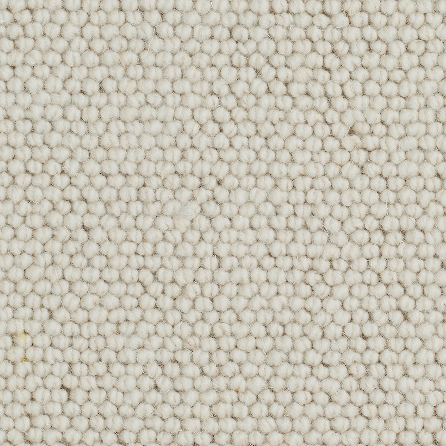 Causeway Carpets Camberley Classic 70% Wool Blend Loop Pile Carpet