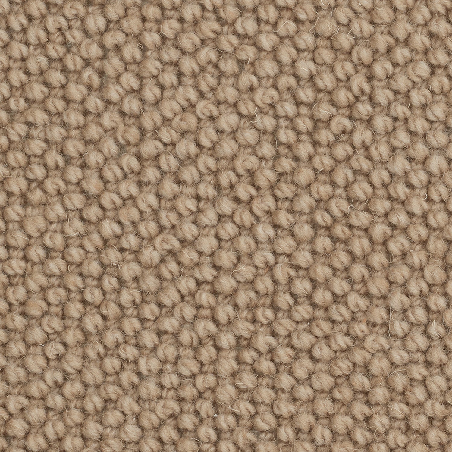 Causeway Carpets Camberley Textures 70% Wool Blend Loop Pile Carpet