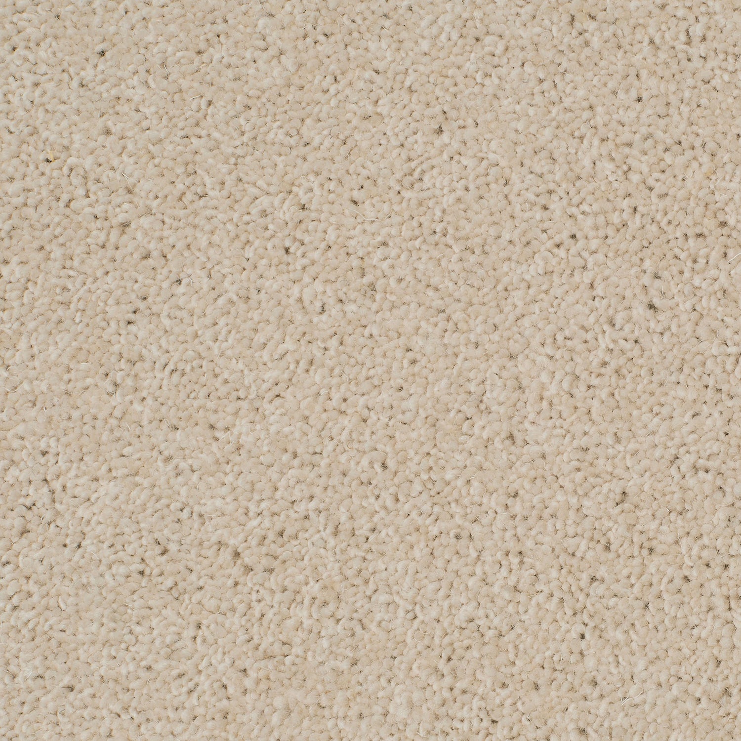 Causeway Carpets 50oz City Twist 80% Wool Blend Twist Pile Carpet