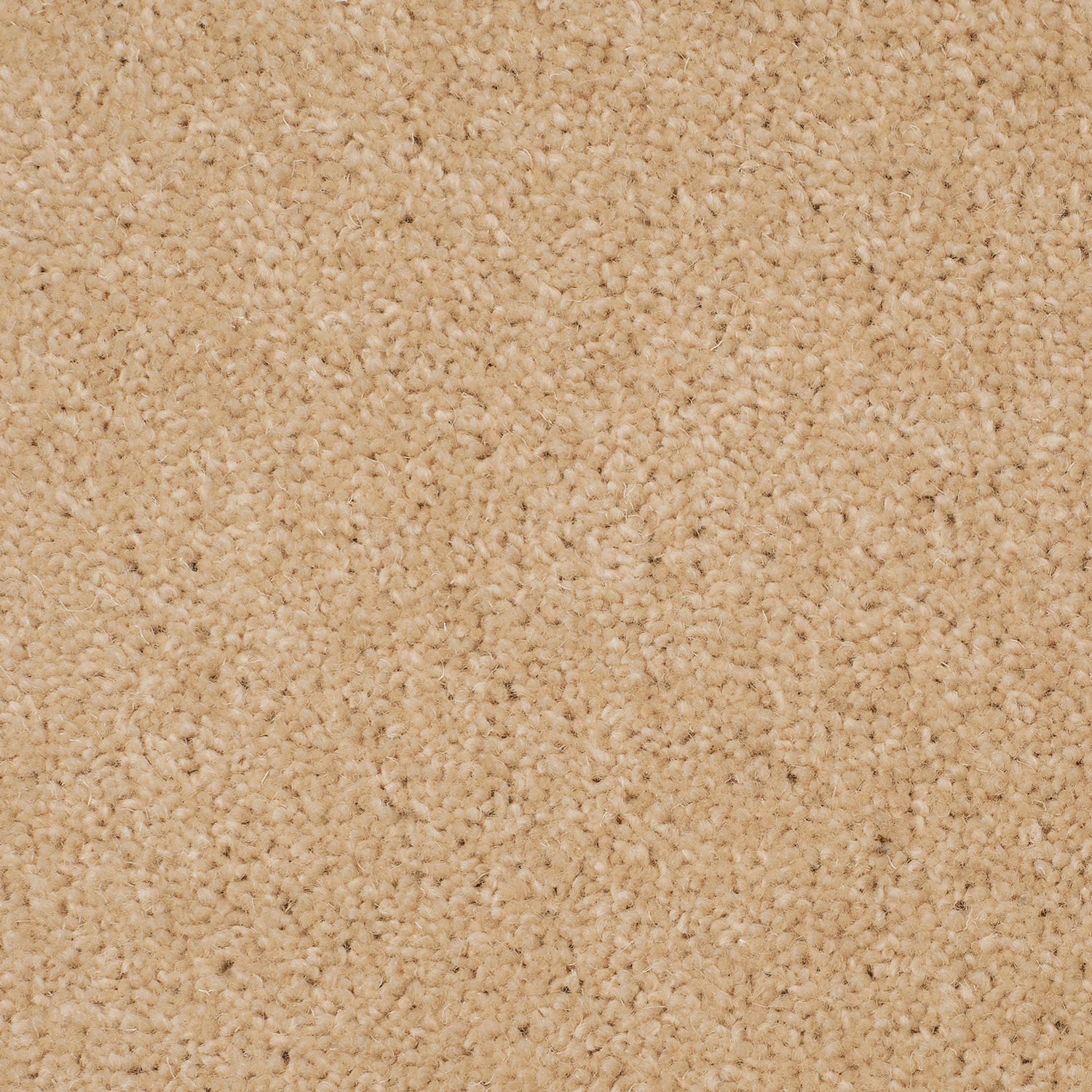 Causeway Carpets 50oz City Twist 80% Wool Blend Twist Pile Carpet