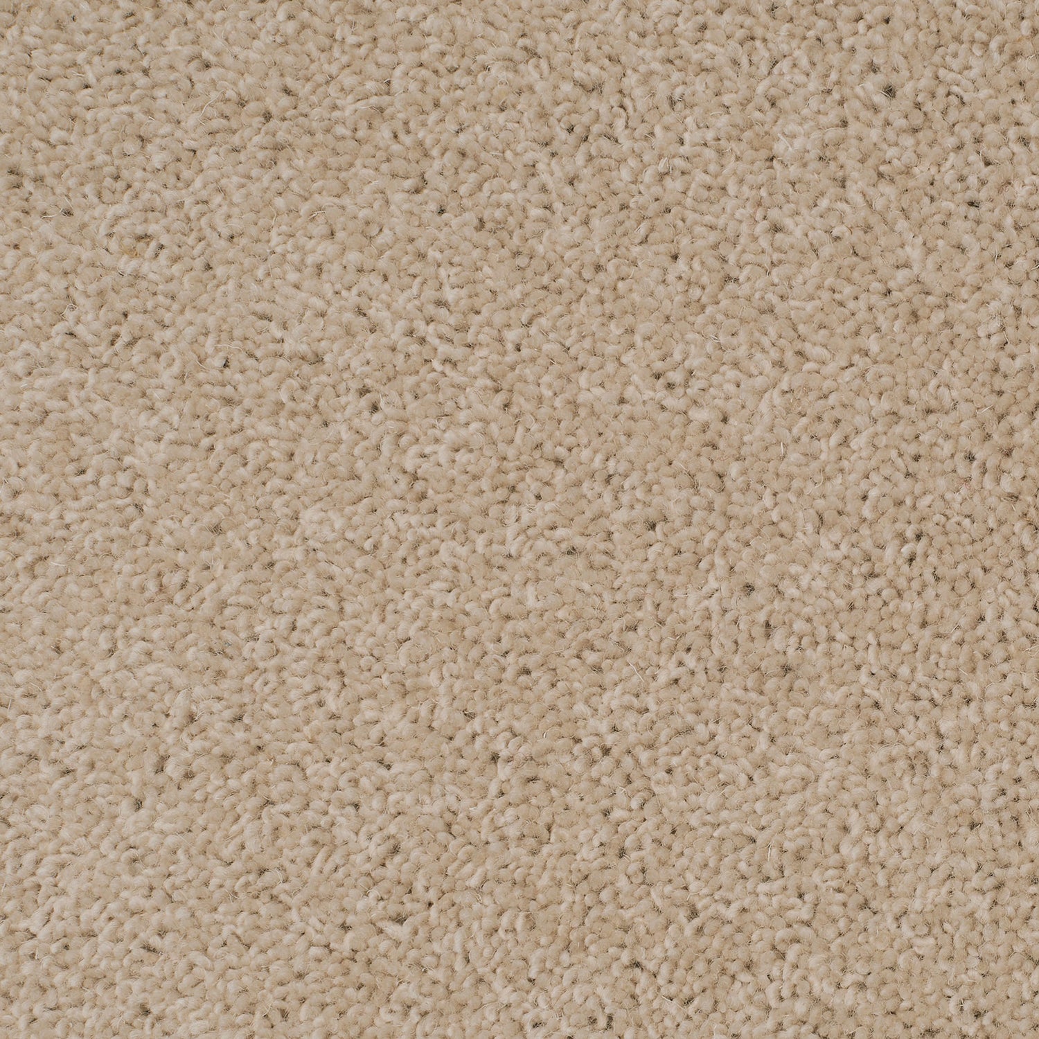 Causeway Carpets 50oz City Twist 80% Wool Blend Twist Pile Carpet
