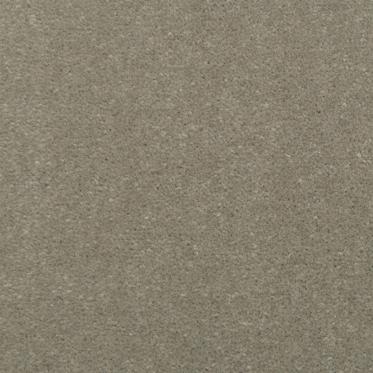 Causeway Carpets Fine Velvet 80% Wool Blend Velvet Carpet