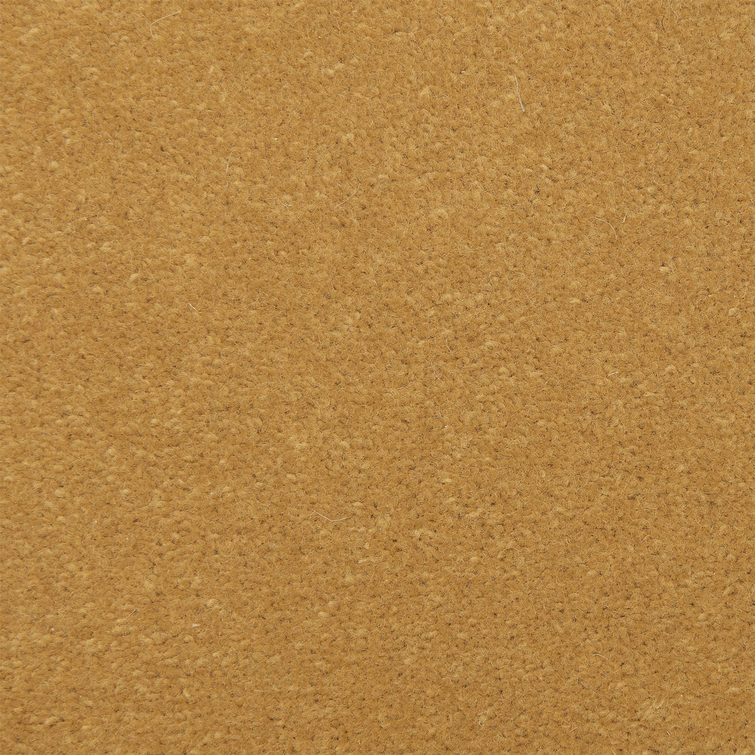 Causeway Carpets Fine Velvet 80% Wool Blend Velvet Carpet