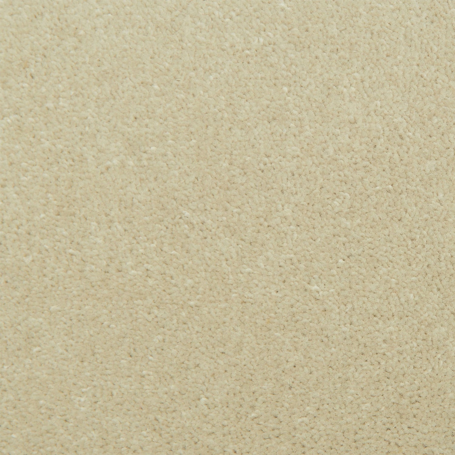 Causeway Carpets Fine Velvet 80% Wool Blend Velvet Carpet