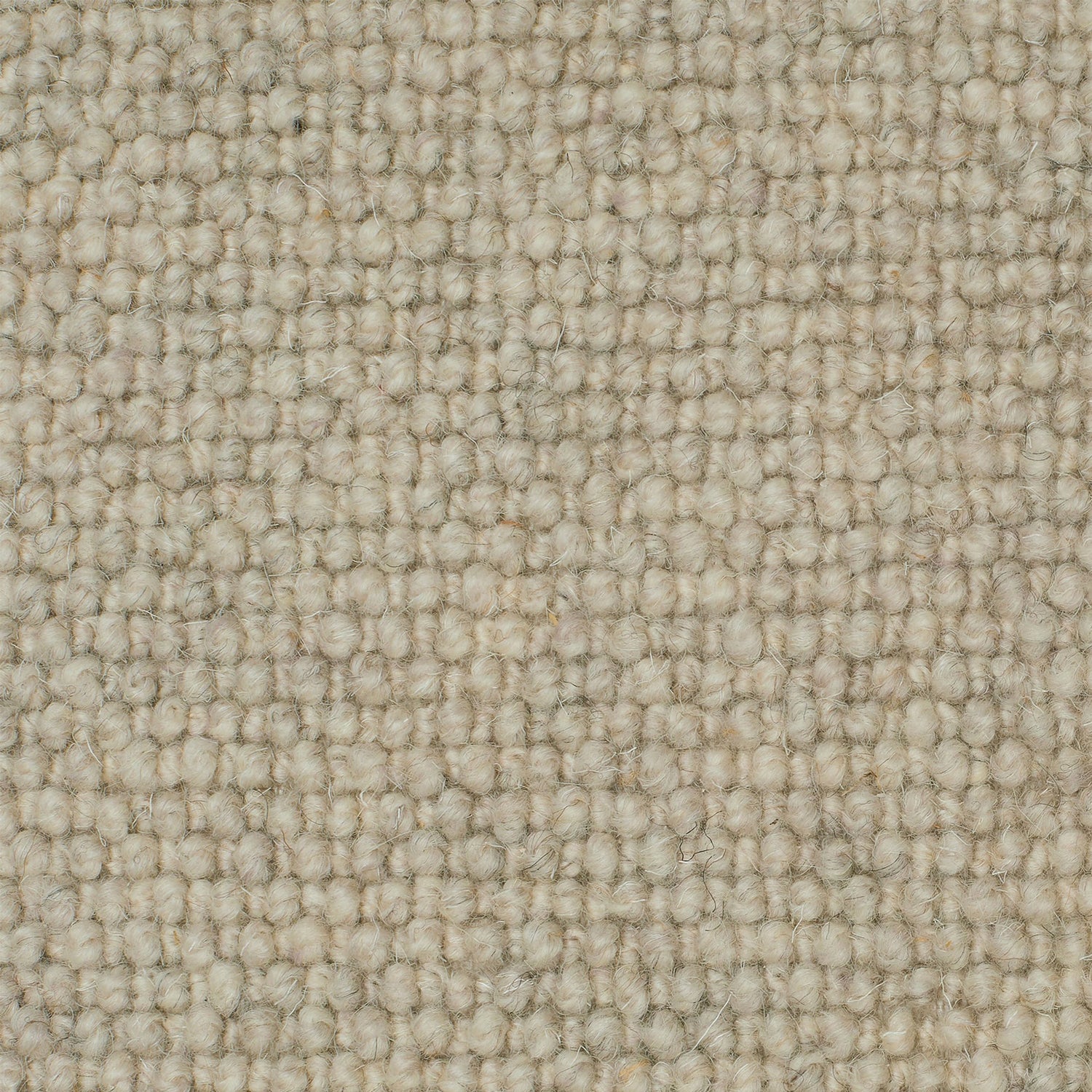 Causeway Carpets Galway Cobble 100% Wool Loop Pile Carpet