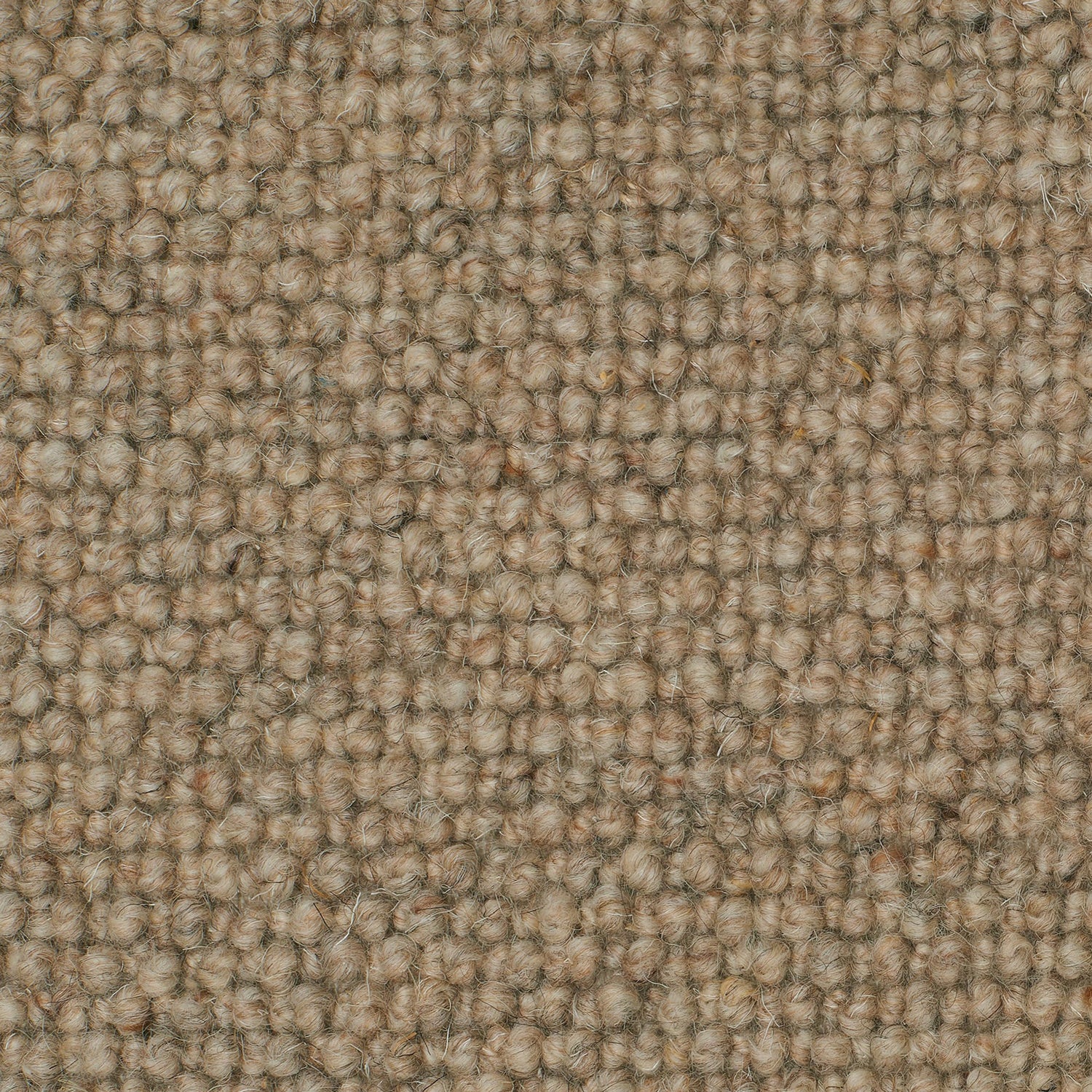 Causeway Carpets Galway Cobble 100% Wool Loop Pile Carpet