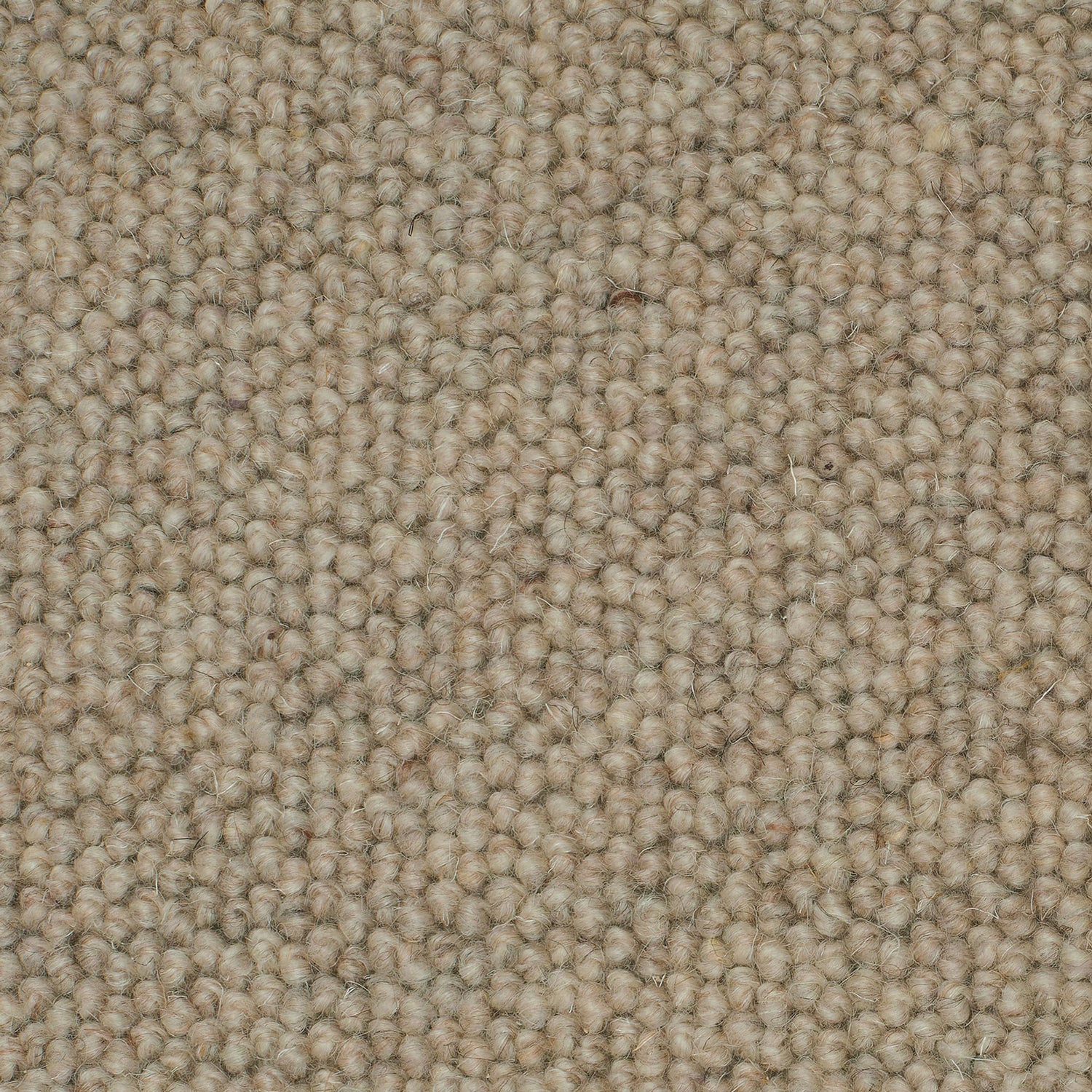 Causeway Carpets Galway Weave 100% Wool Loop Pile Carpet