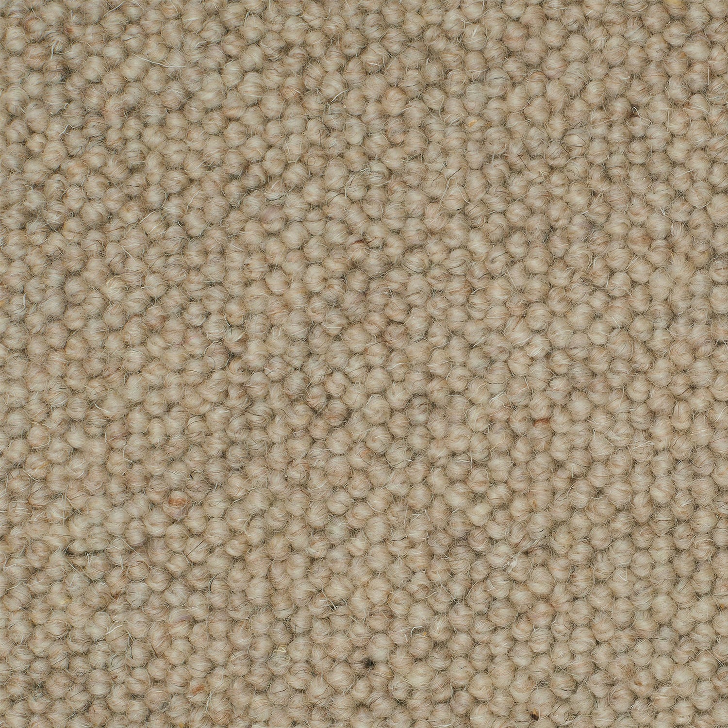 Causeway Carpets Galway Weave 100% Wool Loop Pile Carpet