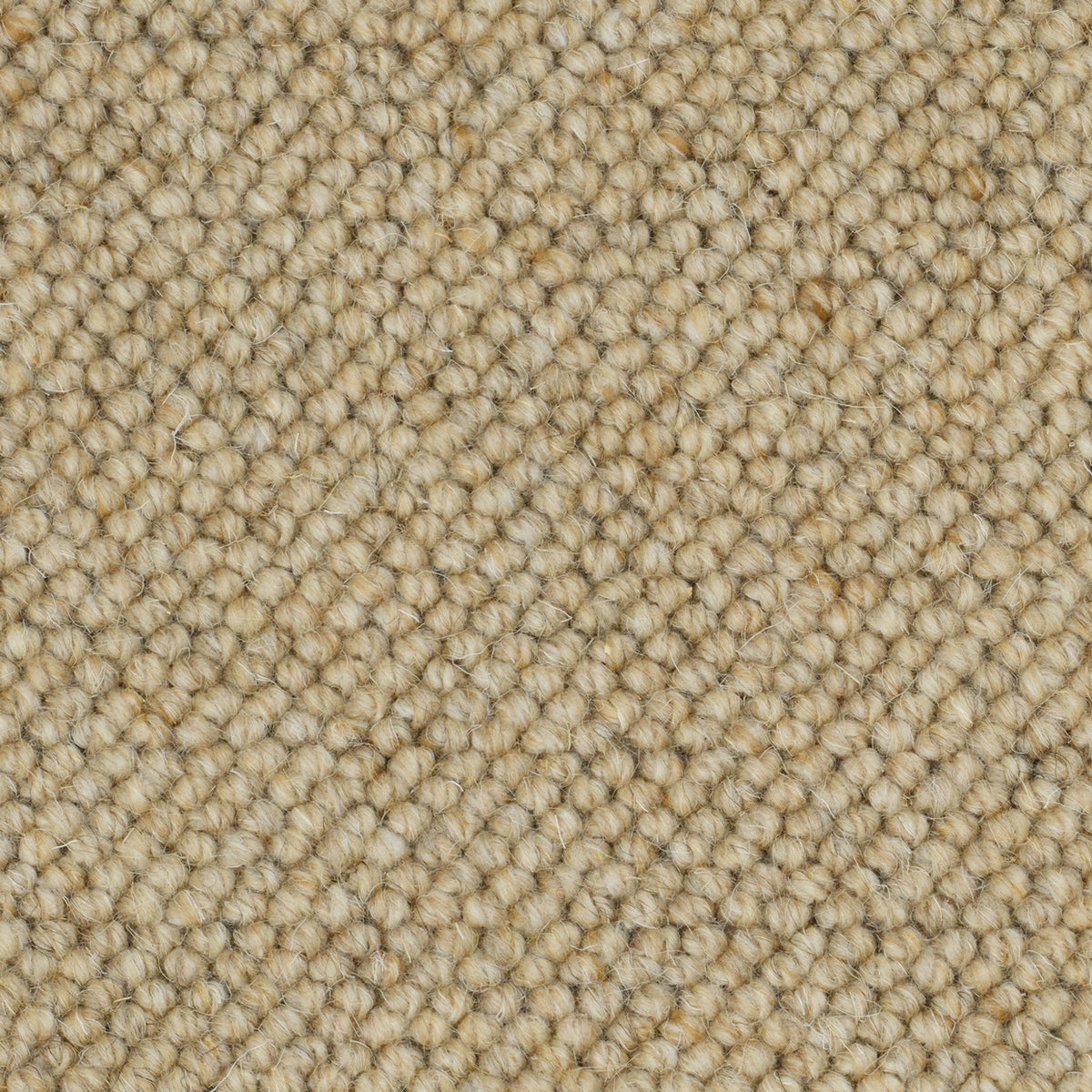 Causeway Carpets Nature Core 100% Wool Loop Pile Carpet
