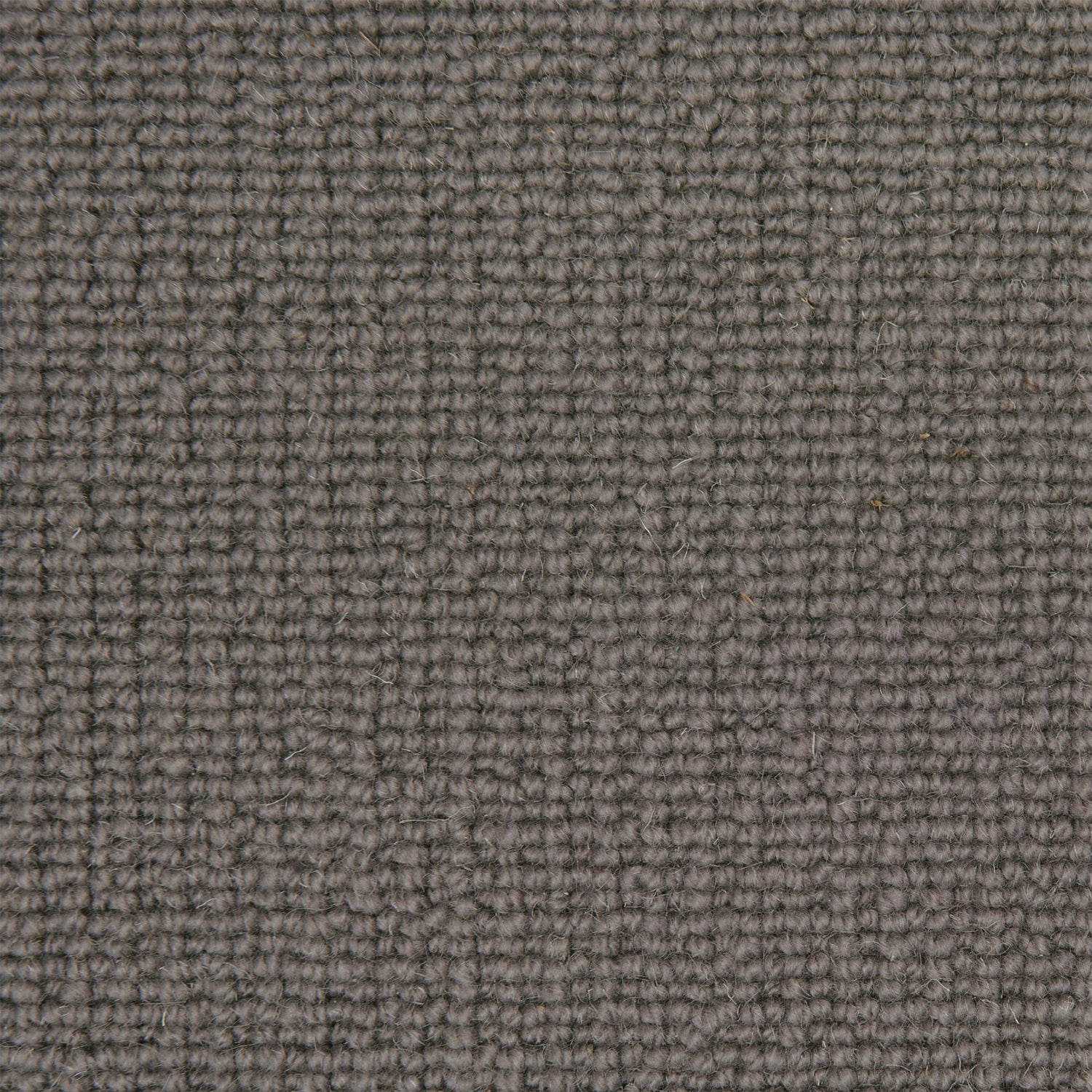 Causeway Carpets Portobello Design 100% Wool Loop Pile Carpet