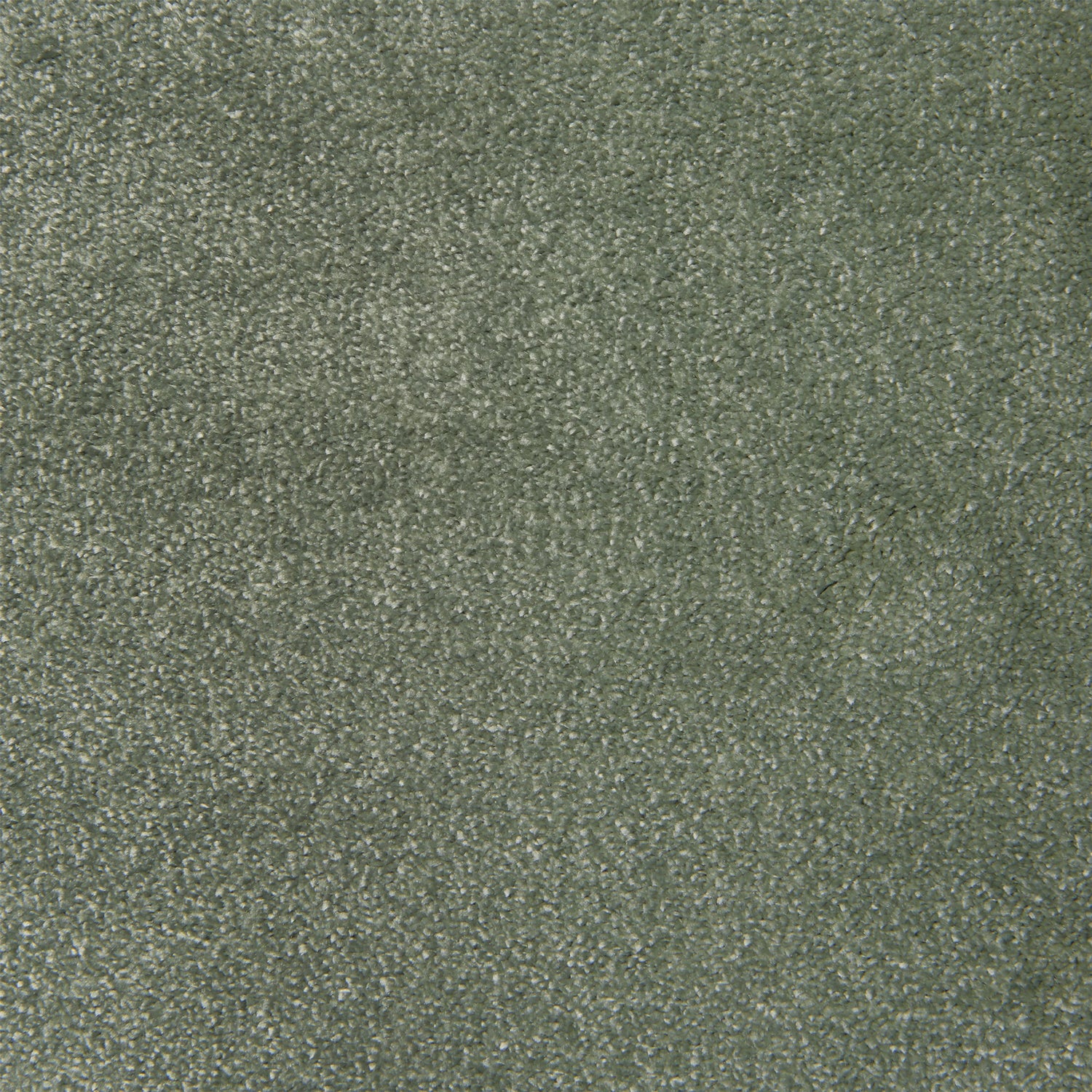 Causeway Carpets Pure Feelings Saxony Carpet