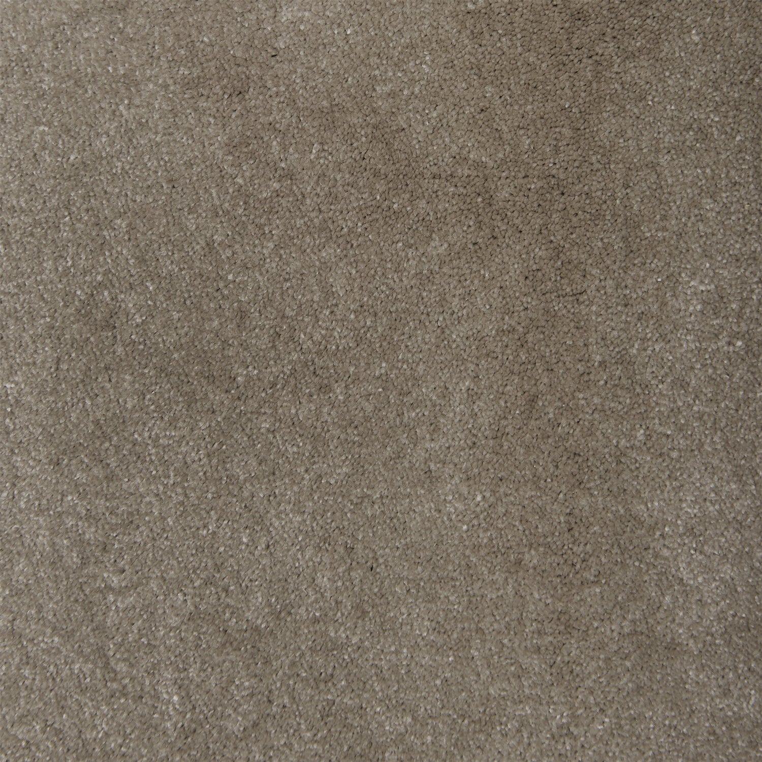 Causeway Carpets Pure Feelings Saxony Carpet