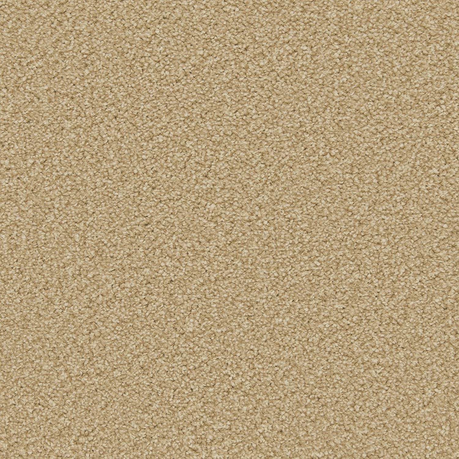 Cormar Apollo Plus Twist Carpet