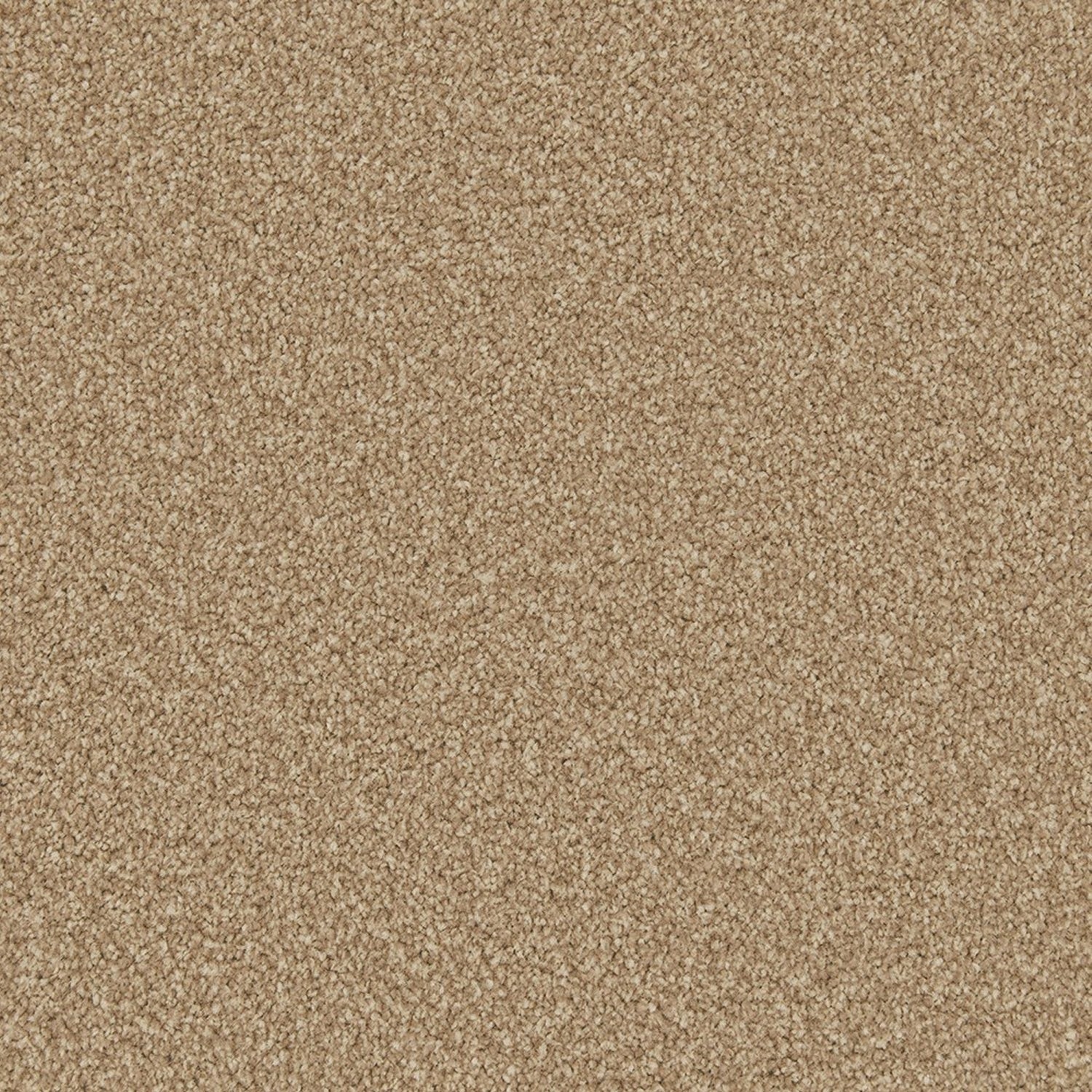 Cormar Apollo Plus Twist Carpet