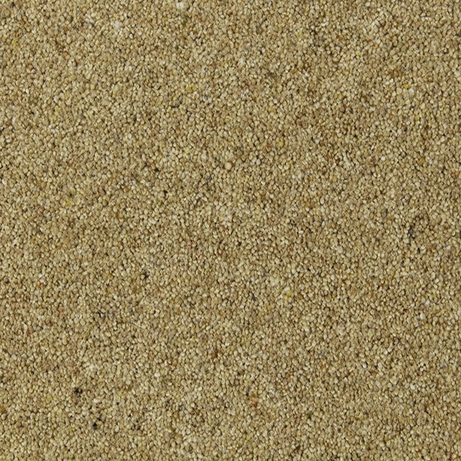 Cormar 55oz Natural Berber Deluxe 80% Wool Blend Twist Pile Carpet