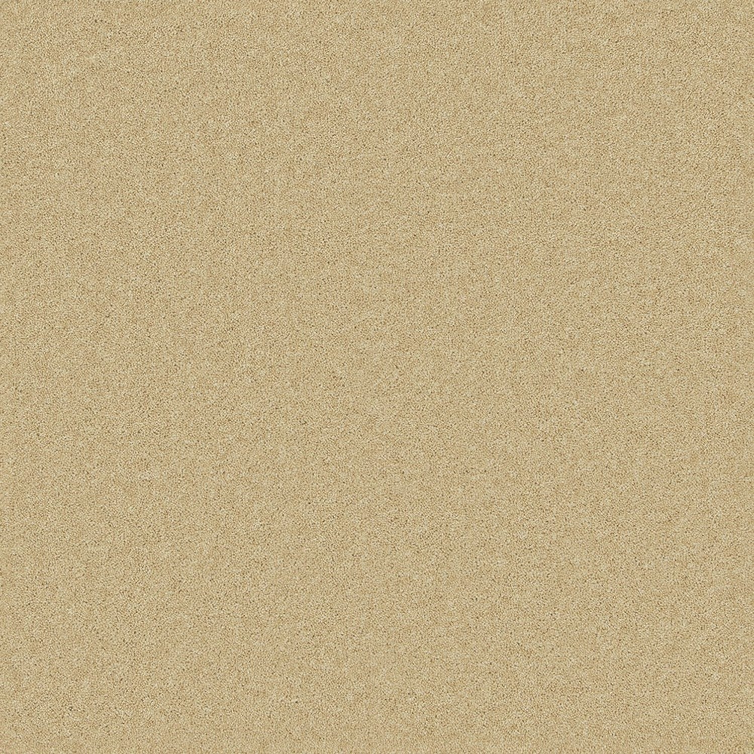 Cormar 50oz Pembroke 80% Wool Blend Twist Pile Carpet