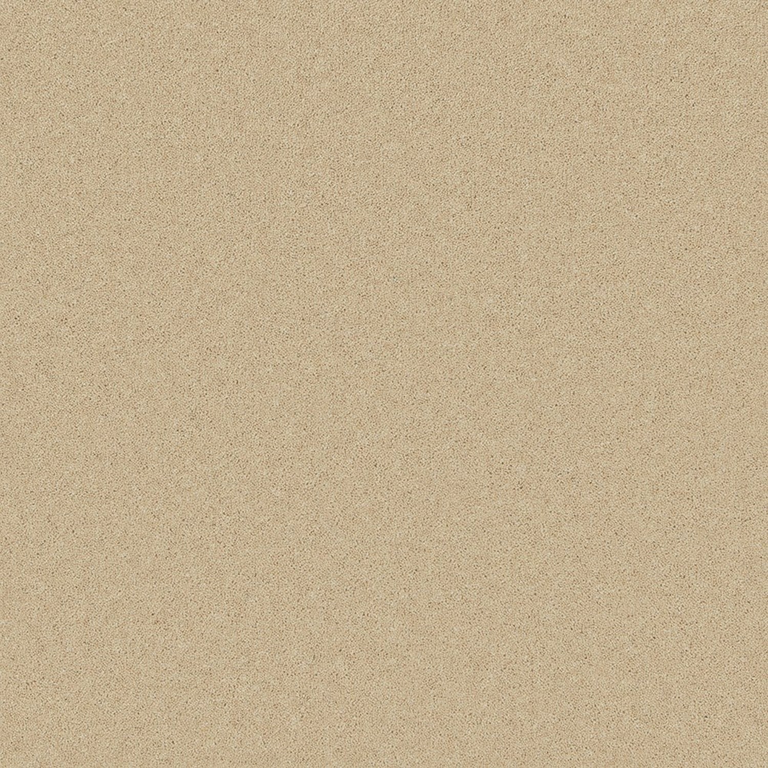 Cormar 50oz Pembroke 80% Wool Blend Twist Pile Carpet