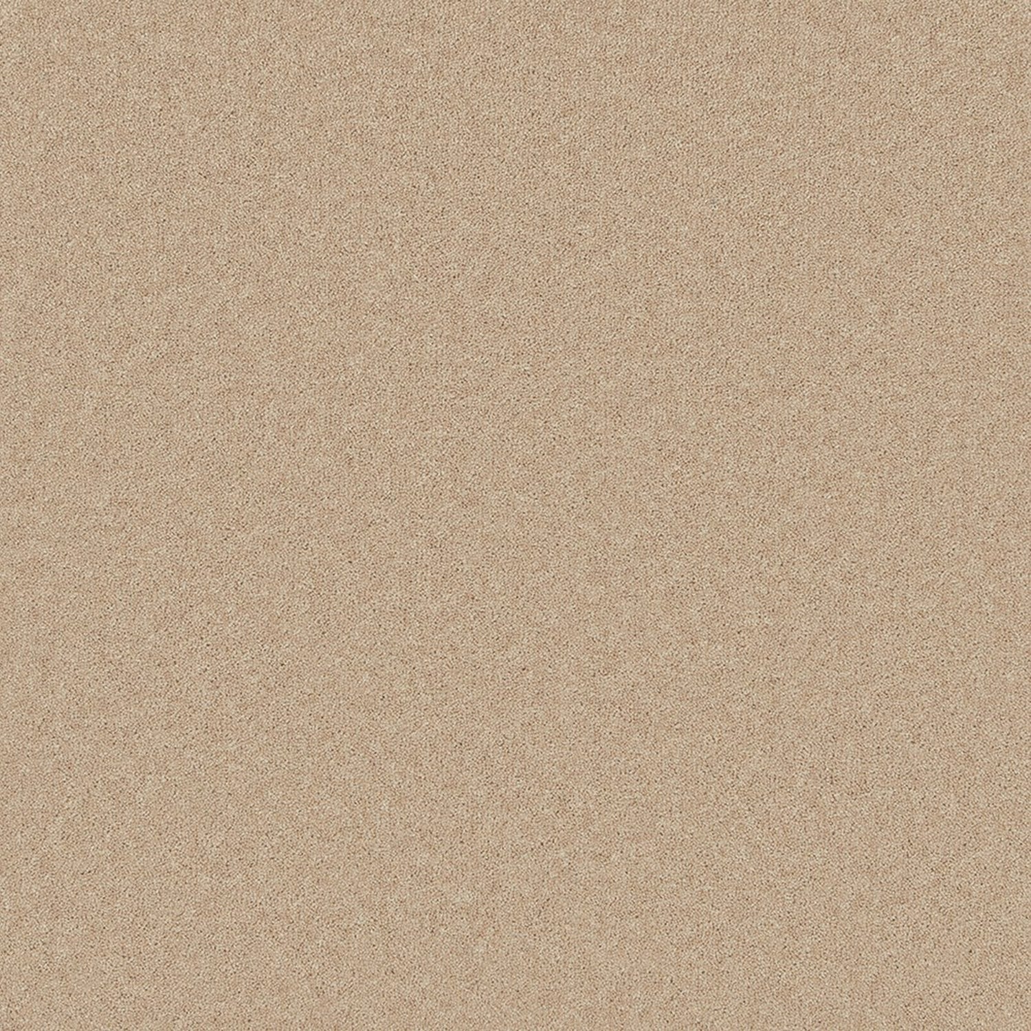 Cormar 50oz Pembroke 80% Wool Blend Twist Pile Carpet