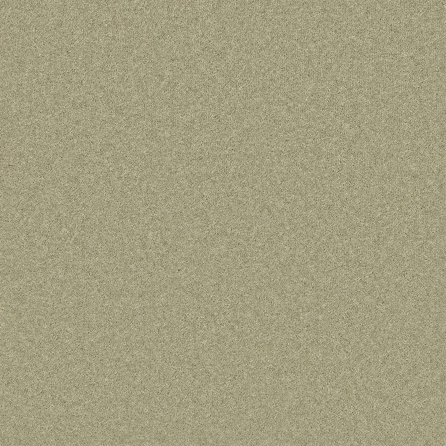 Cormar 50oz Pembroke 80% Wool Blend Twist Pile Carpet