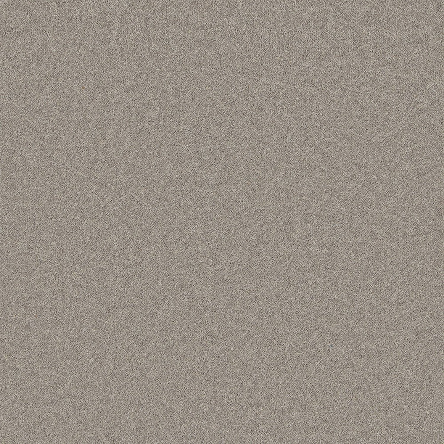 Cormar 50oz Pembroke 80% Wool Blend Twist Pile Carpet