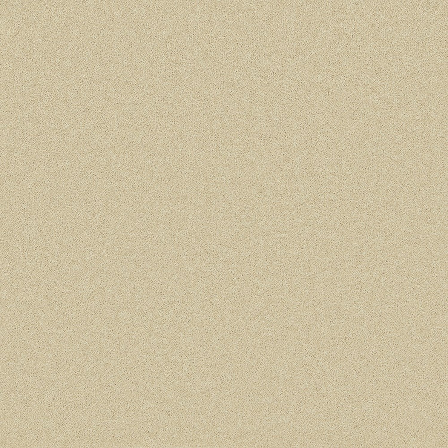 Cormar 50oz Pembroke 80% Wool Blend Twist Pile Carpet