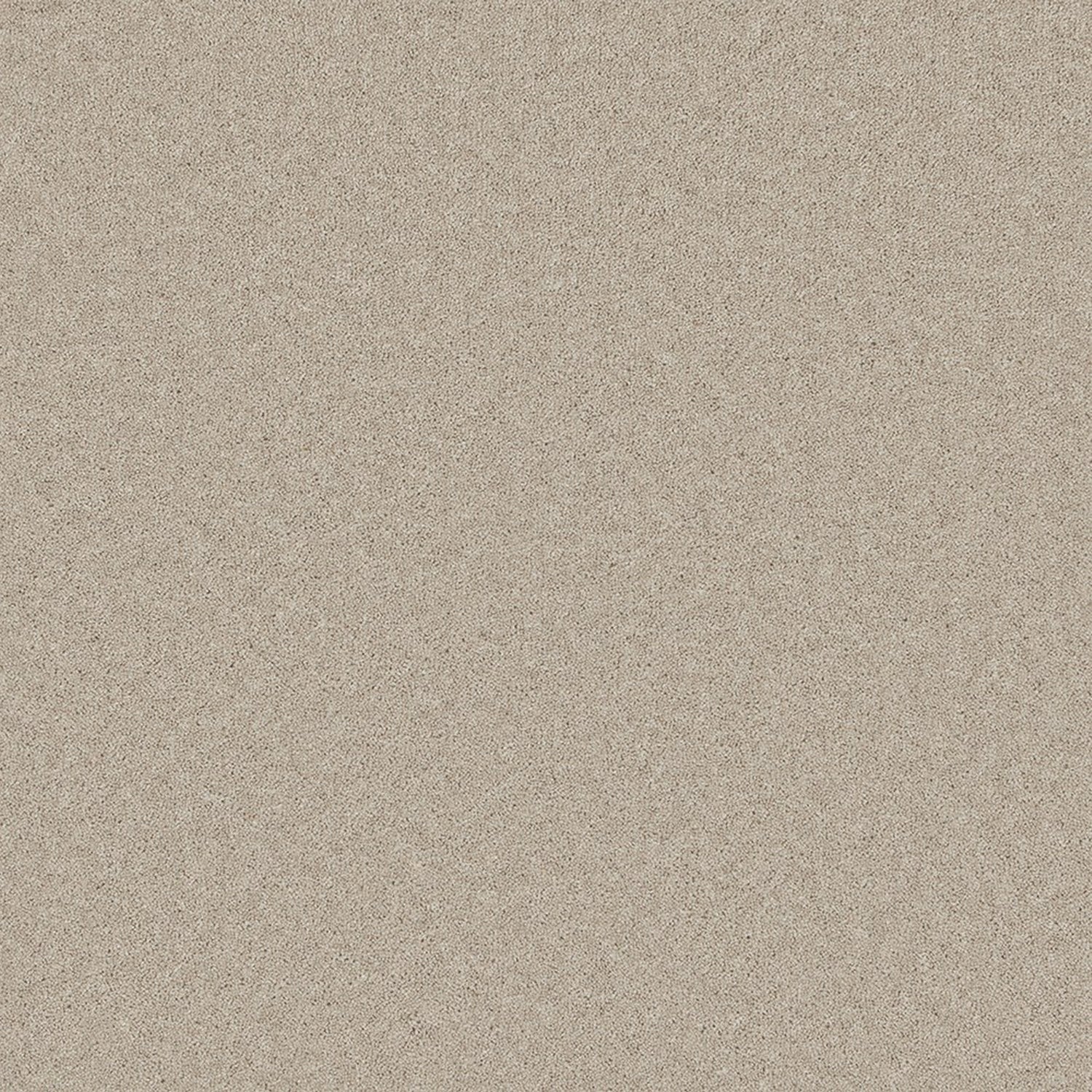Cormar 50oz Pembroke 80% Wool Blend Twist Pile Carpet