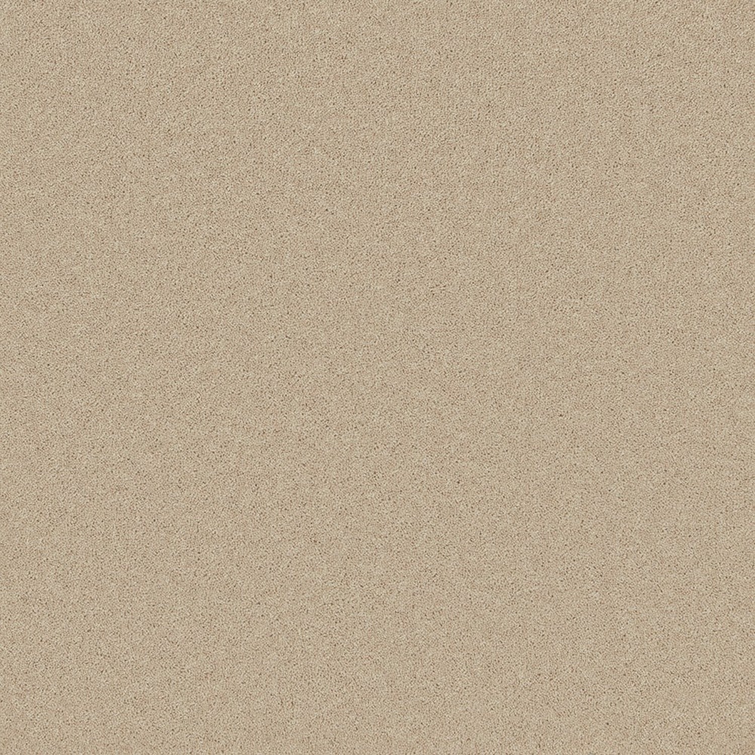 Cormar 50oz Pembroke 80% Wool Blend Twist Pile Carpet