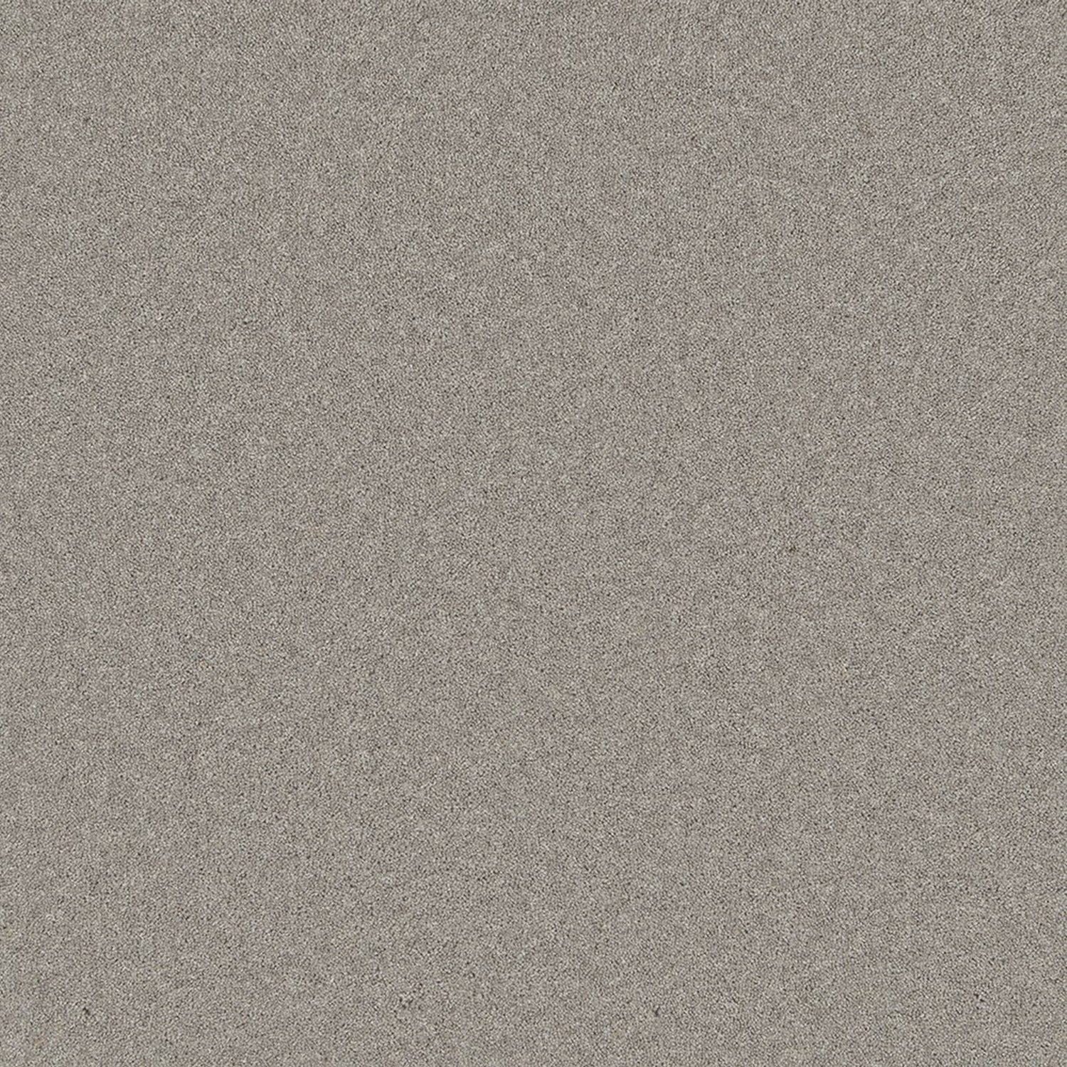Cormar 50oz Pembroke 80% Wool Blend Twist Pile Carpet