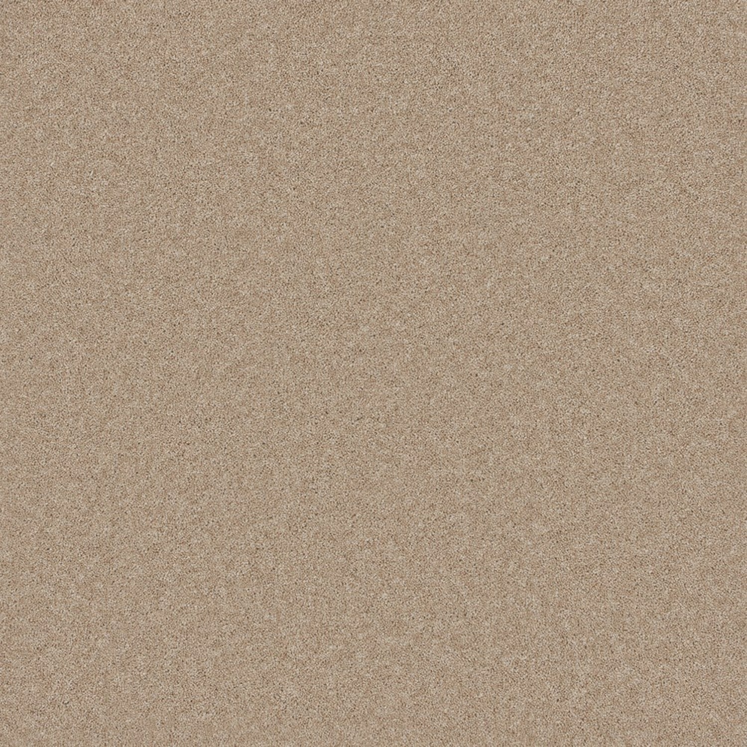 Cormar 50oz Pembroke 80% Wool Blend Twist Pile Carpet