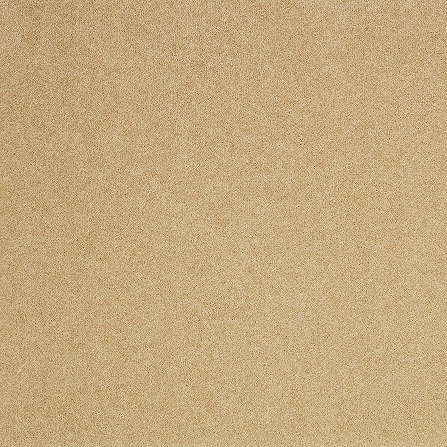 Cormar 50oz Pembroke 80% Wool Blend Twist Pile Carpet
