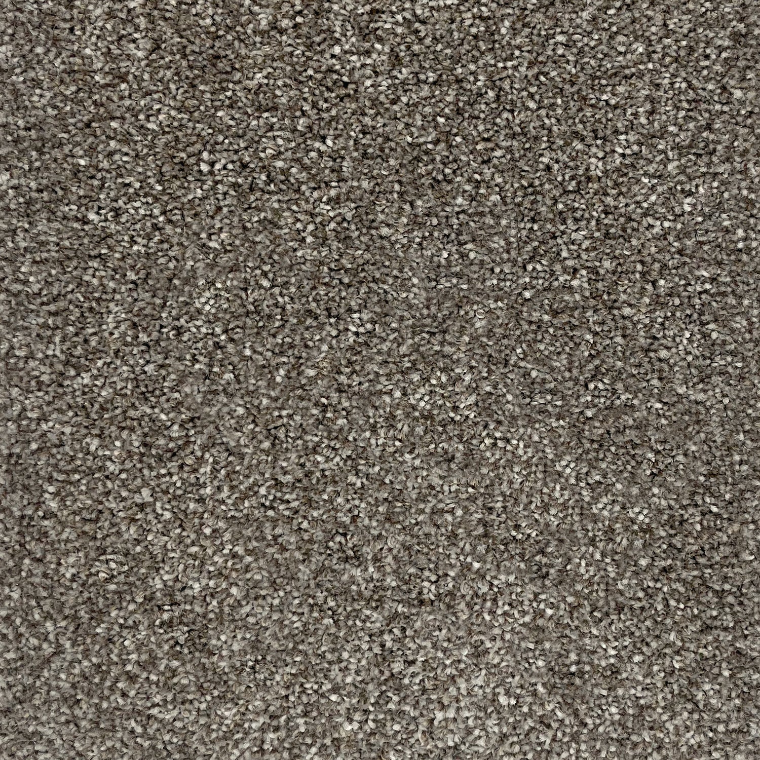 Furlong Flooring Carefree Twist Carpet