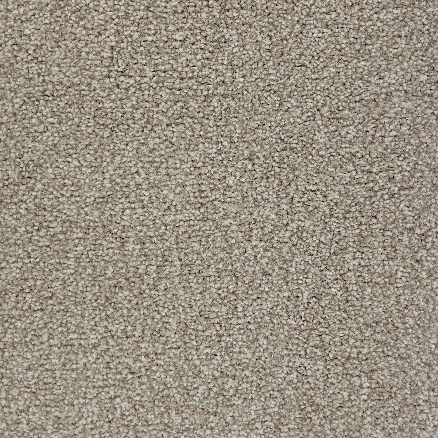 Furlong Flooring Carefree Twist Carpet