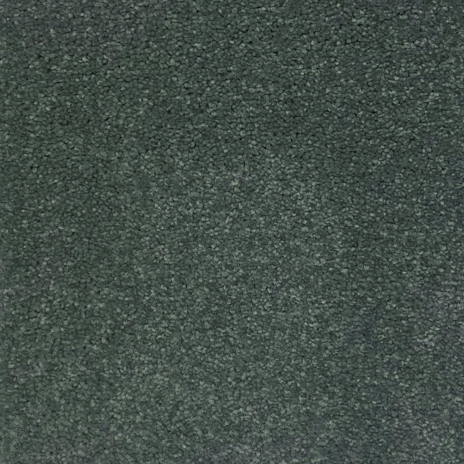 Furlong Flooring Carefree Twist Carpet