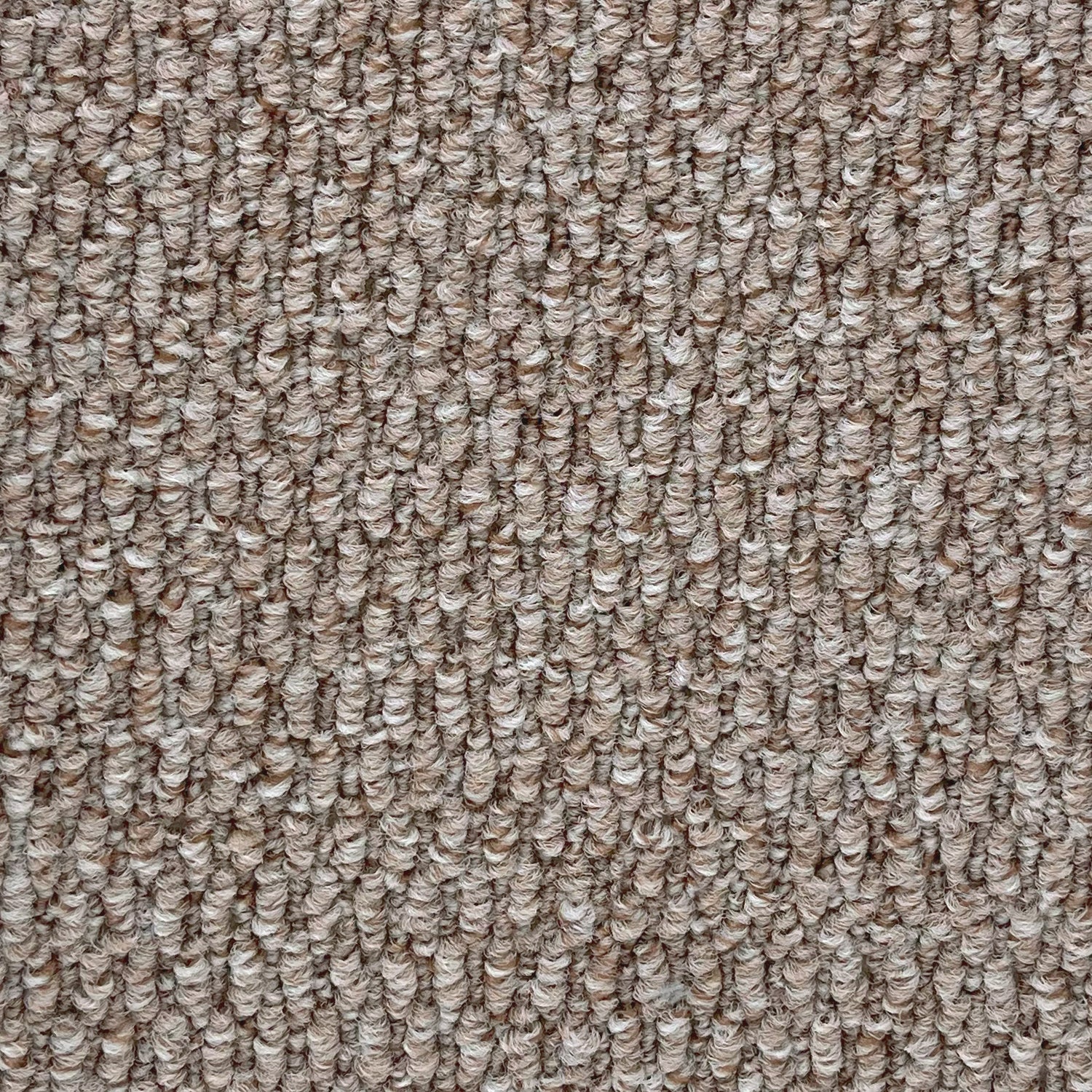 Furlong Flooring Gobi Loop Carpet