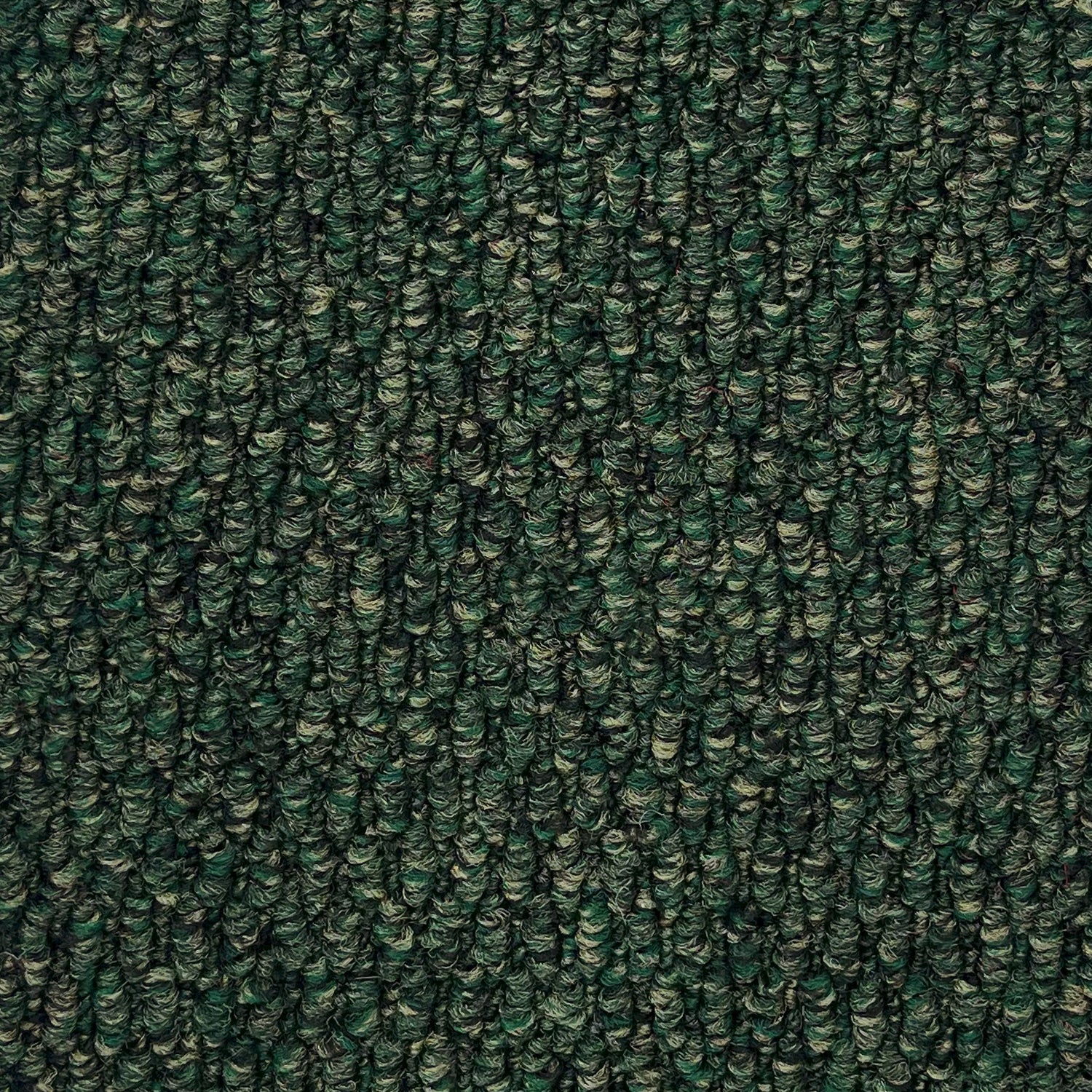 Furlong Flooring Gobi Loop Carpet