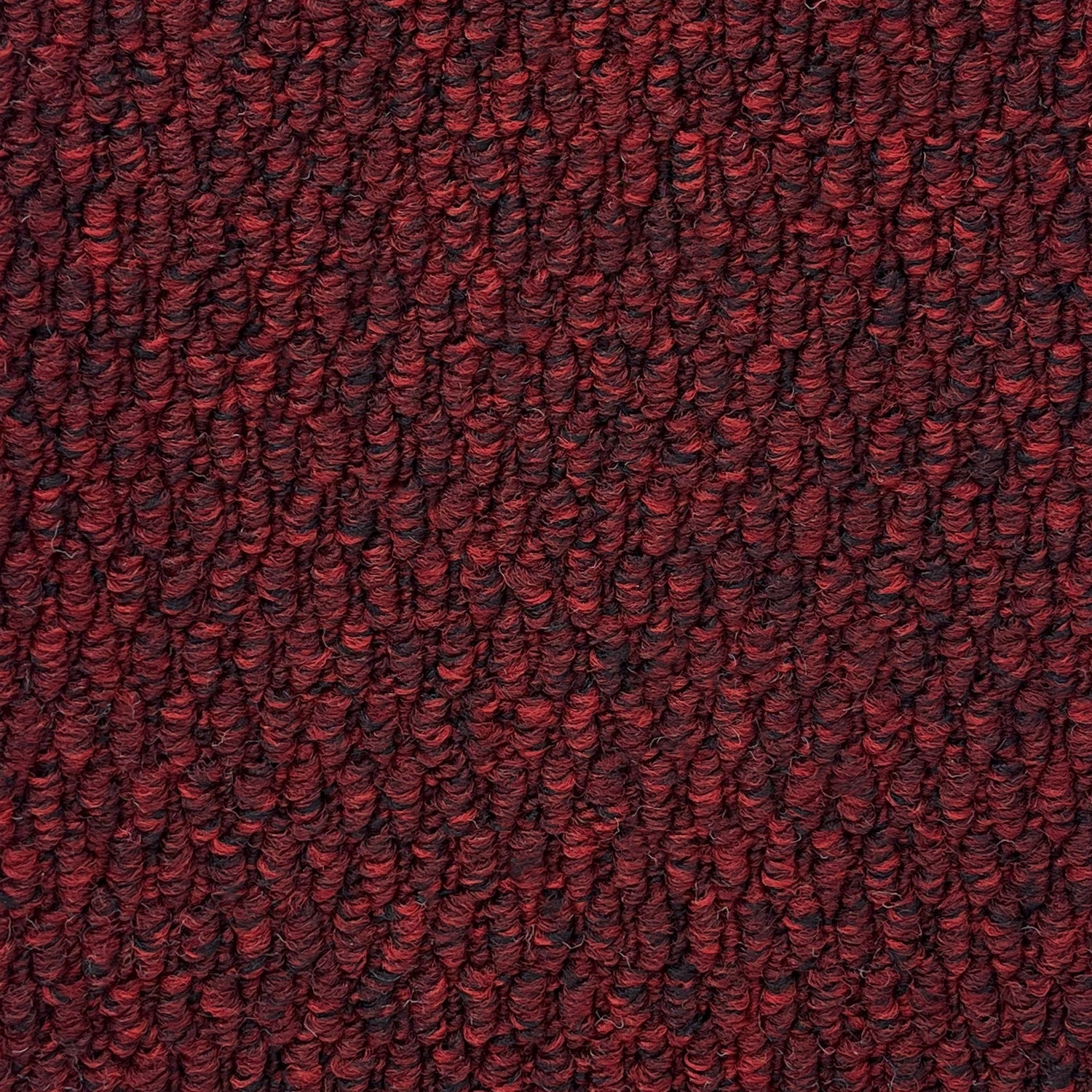 Furlong Flooring Gobi Loop Carpet