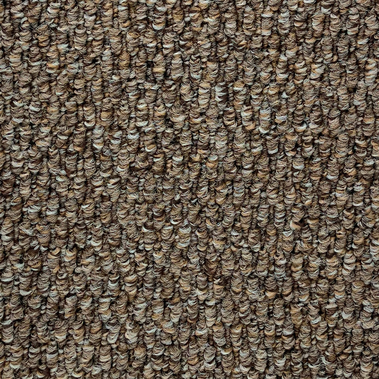 Furlong Flooring Gobi Loop Carpet